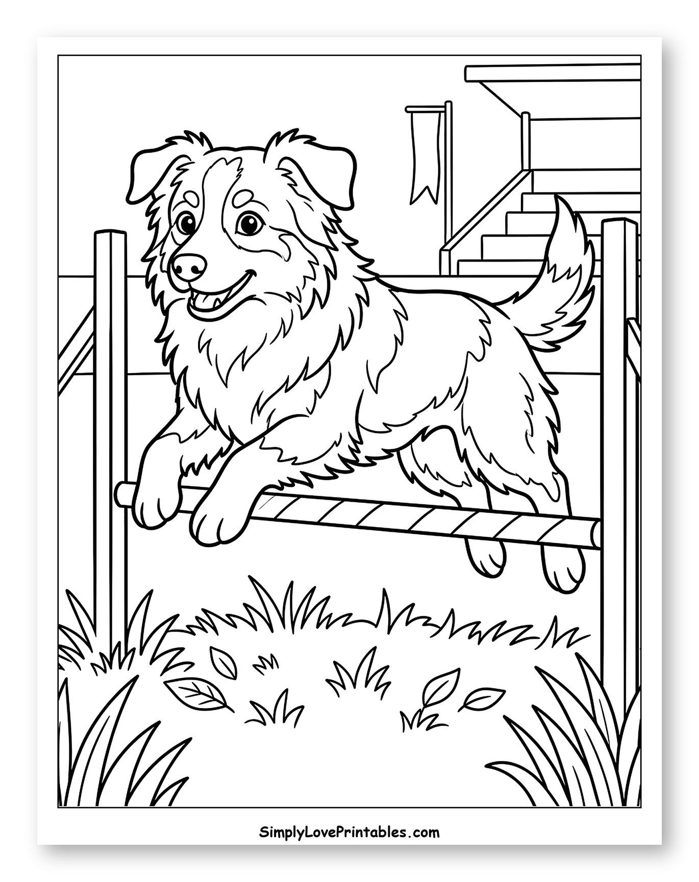 Happy Australian Shepherd Dog Agility Jump to Color for Kids