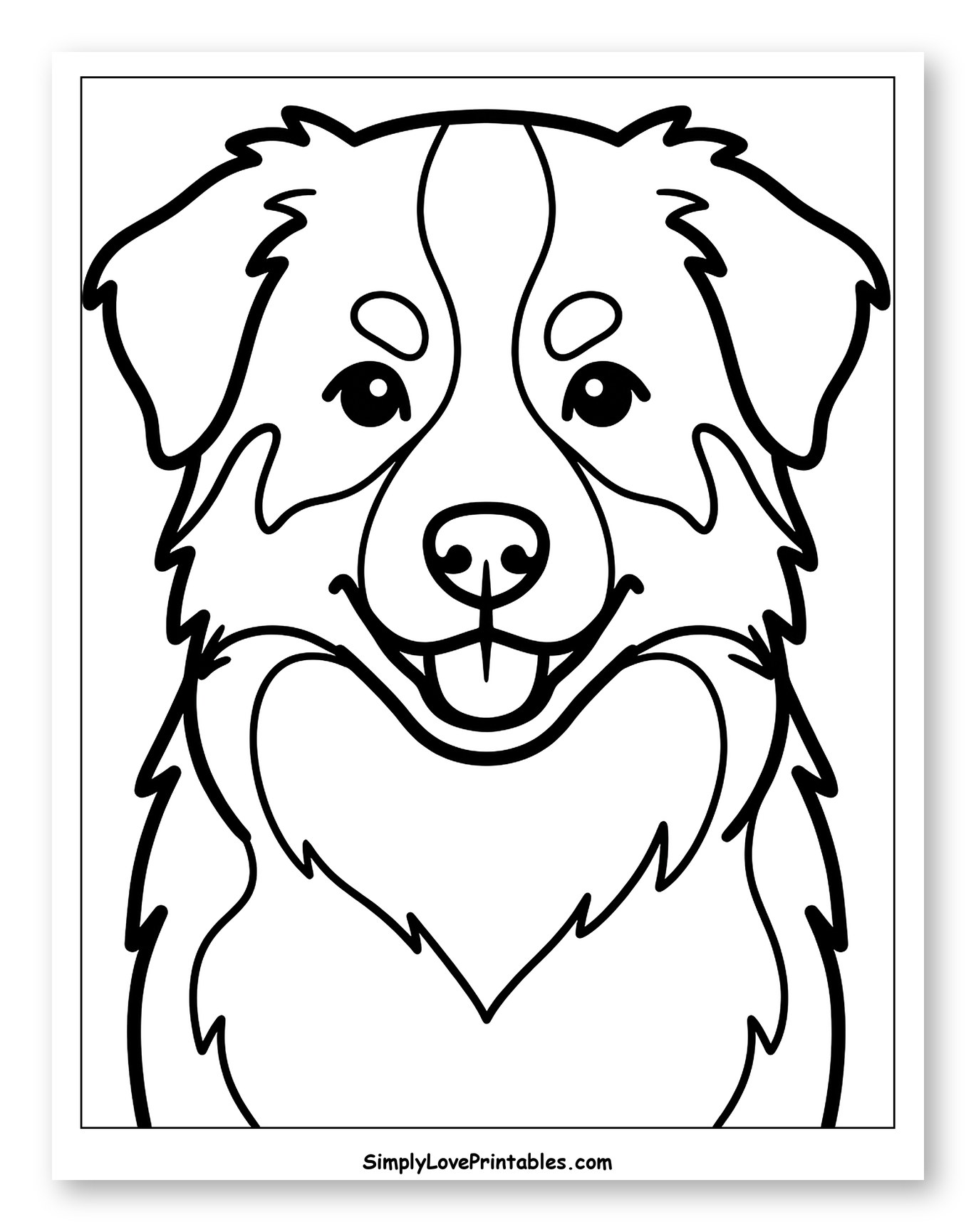 Happy Australian Shepherd Dog Portrait