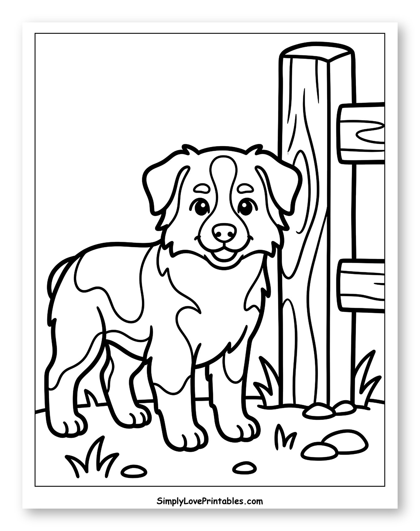 Happy Australian Shepherd Puppy by a Fence