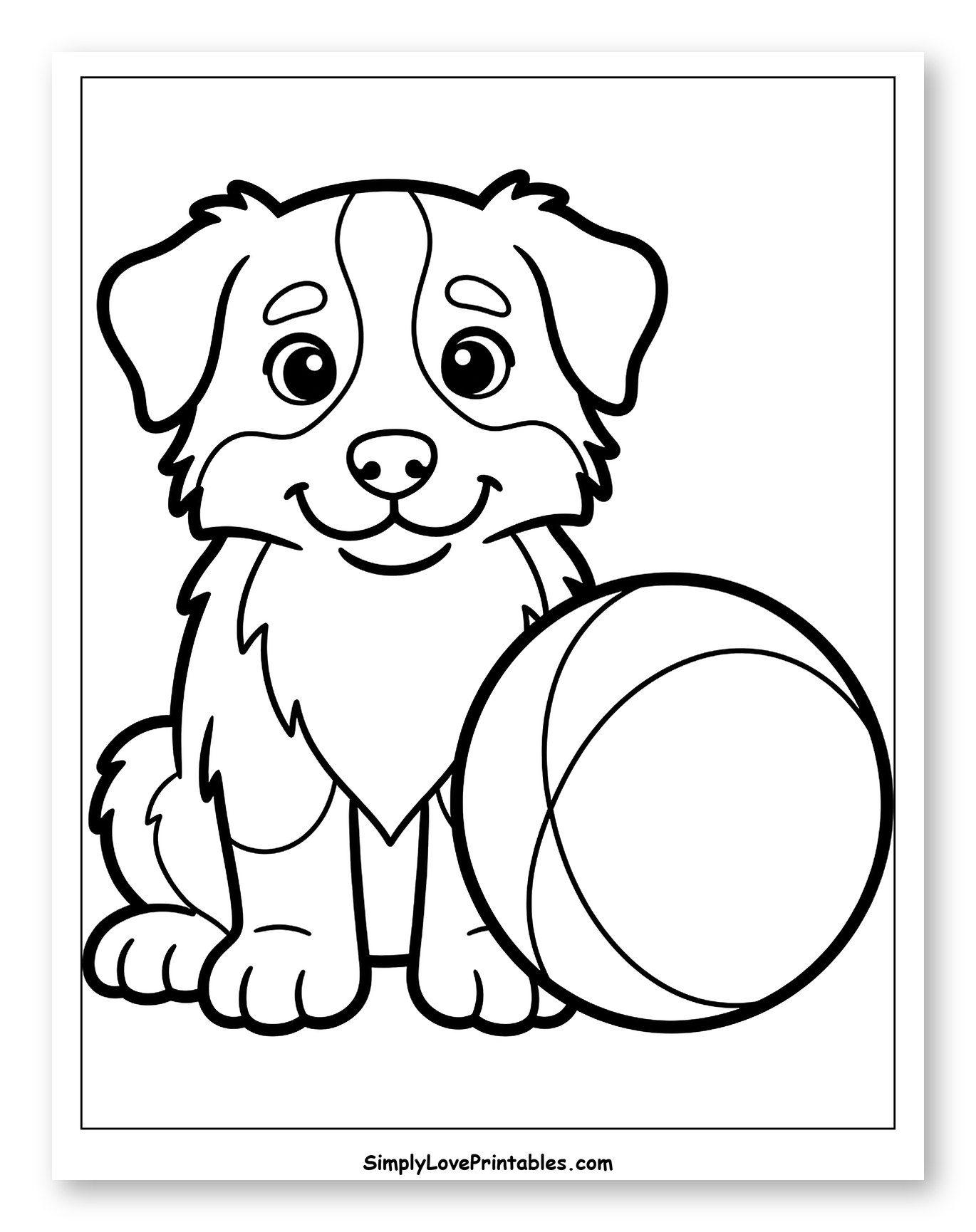 Happy Australian Shepherd Puppy with Ball