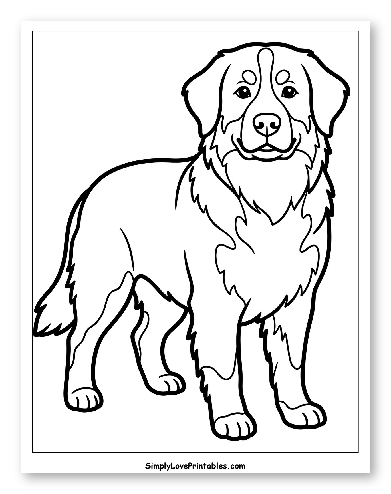 Happy Bernese Mountain Dog Standing to Color for Toddlers