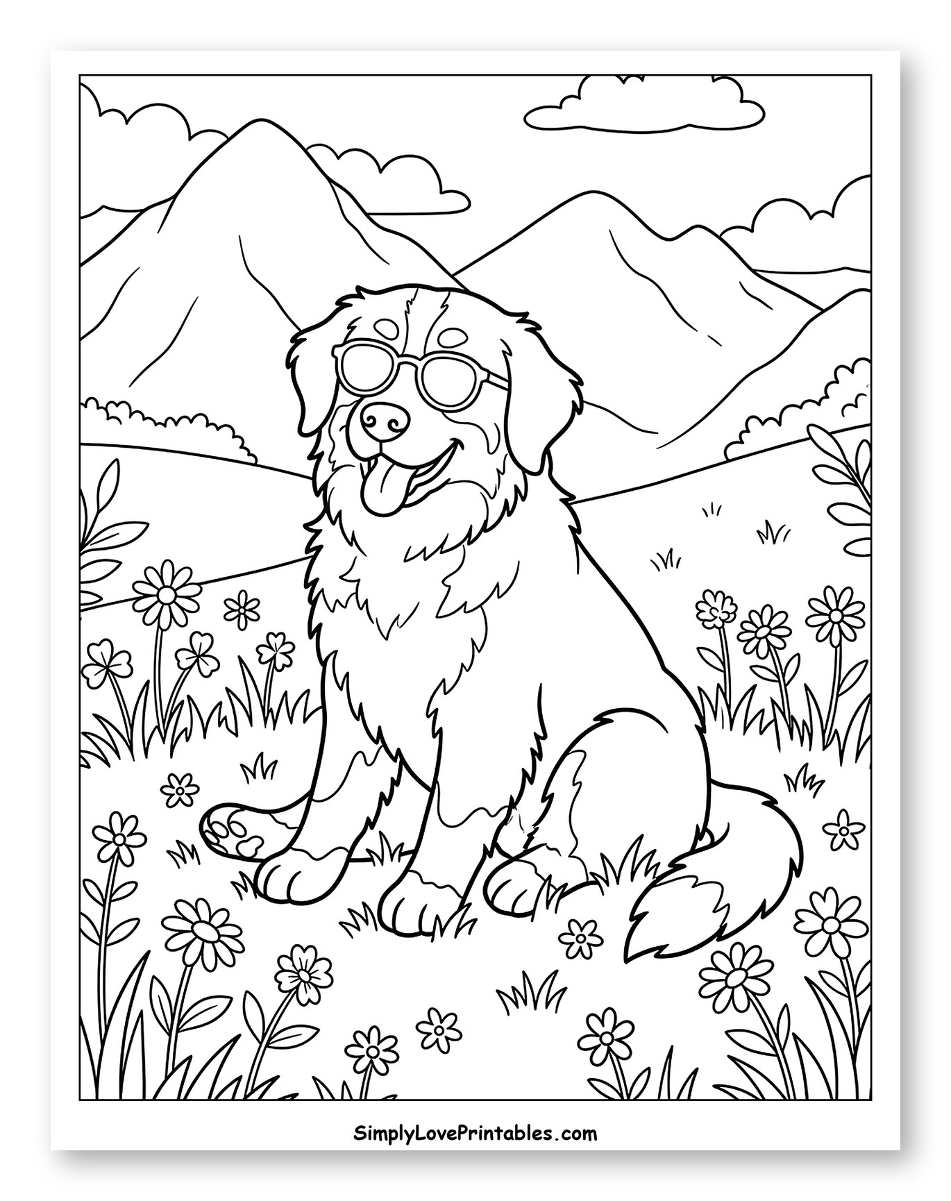 Happy Bernese Mountain Dog with Sunglasses in Field