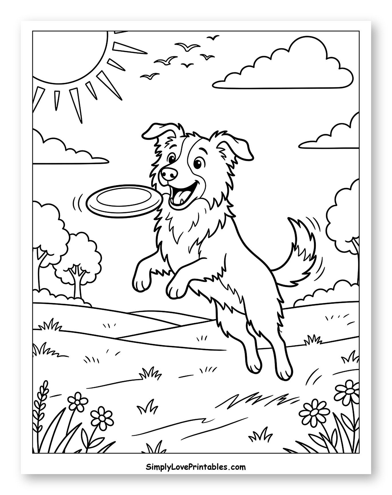 Happy Border Collie Catching a Frisbee in a Field Coloring Page for Kids