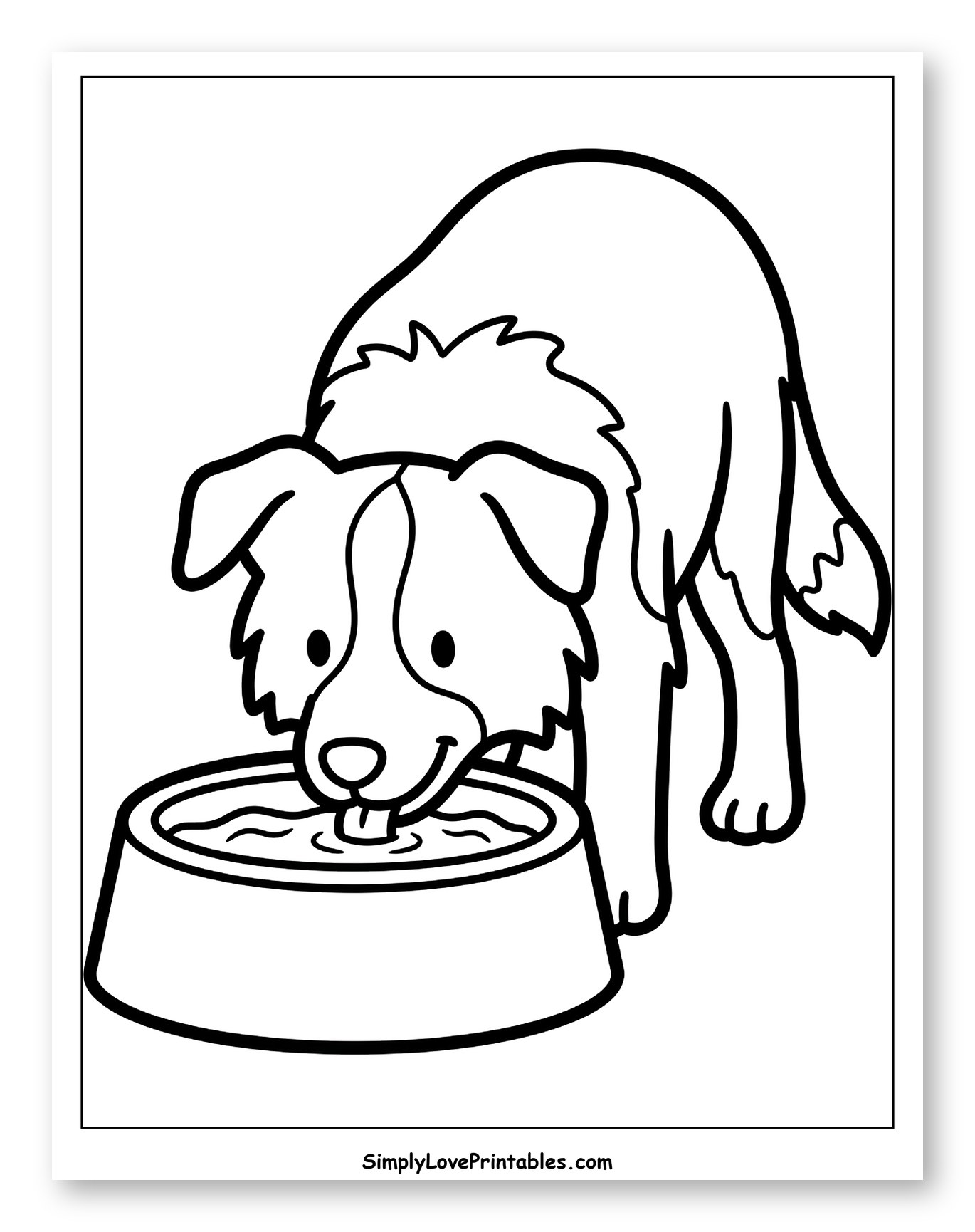 Happy Border Collie Drinking Water from Bowl to Color for Toddlers