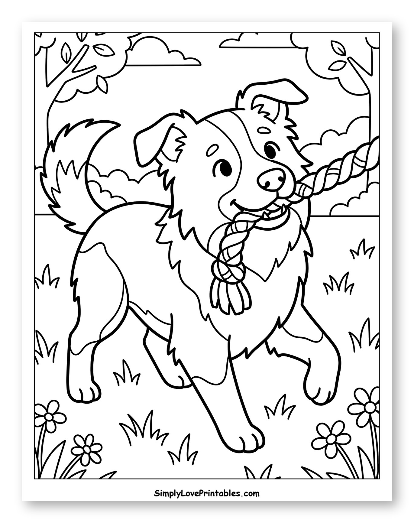 Happy Border Collie Playing with Rope Toy to Color for Kids