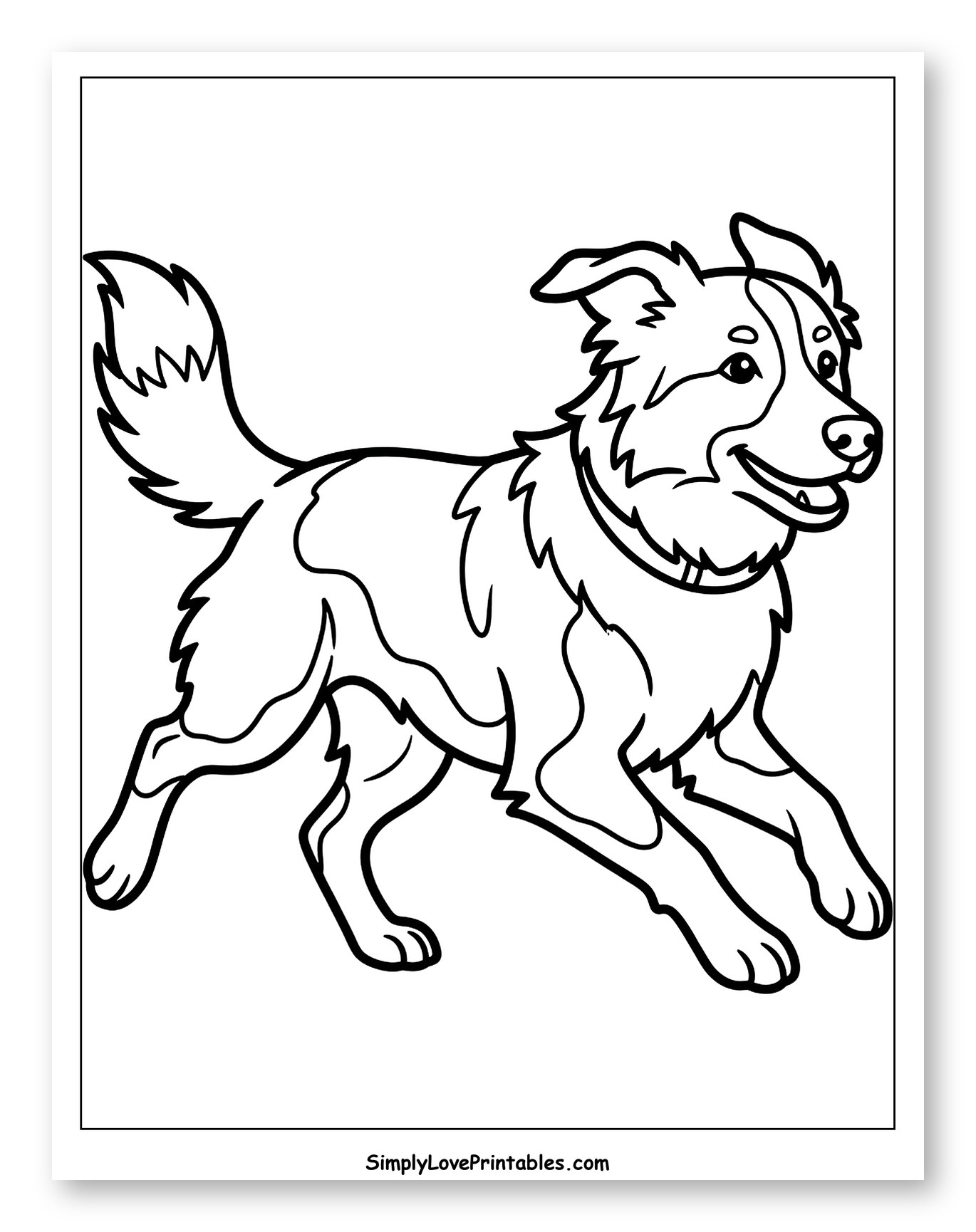 Happy Border Collie Running to Color for Toddlers