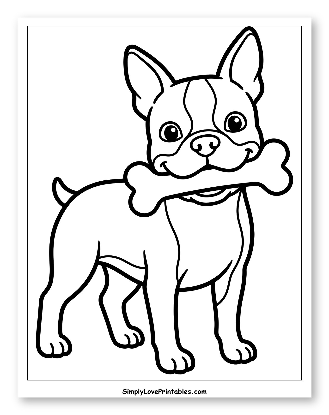 Happy Boston Terrier Holding a Bone