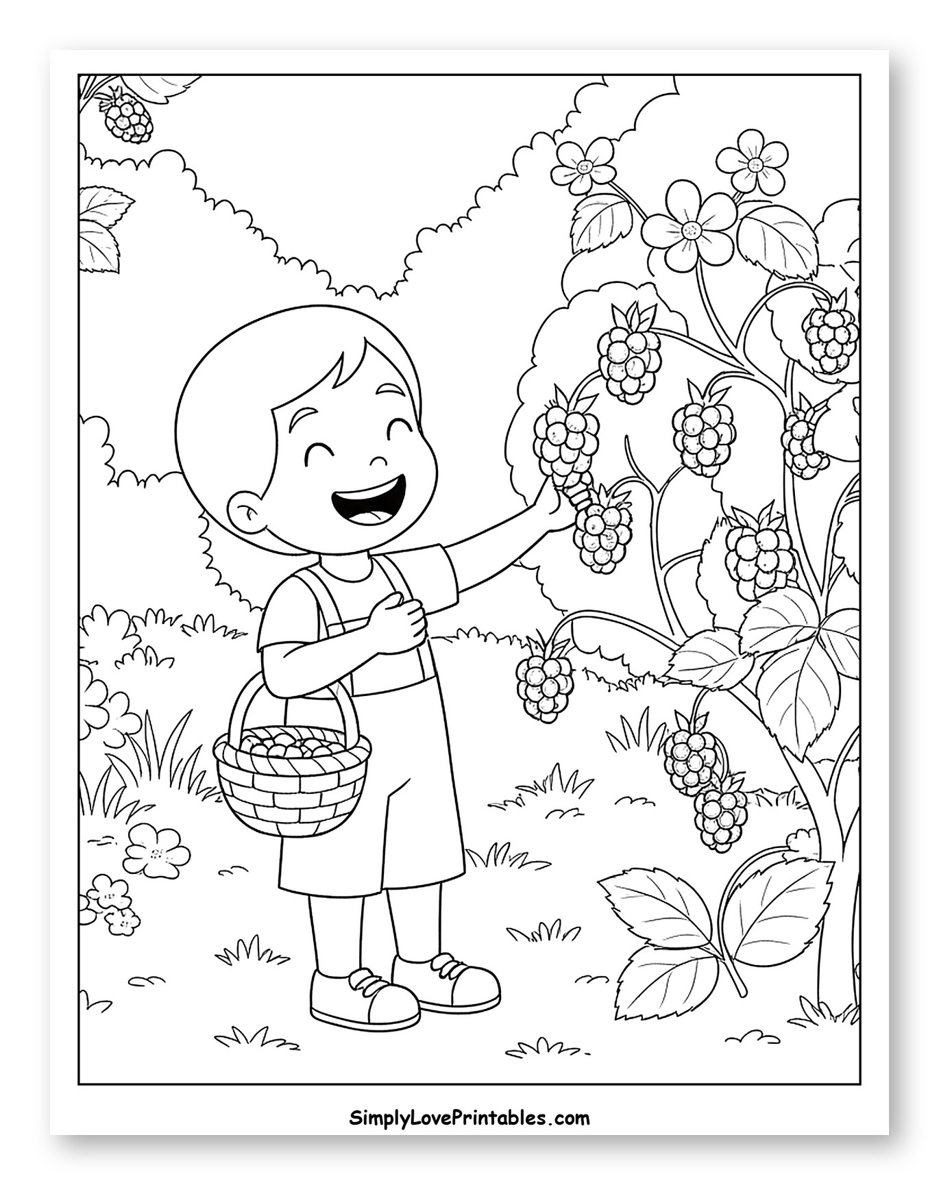 Happy Boy Harvesting Blackberries