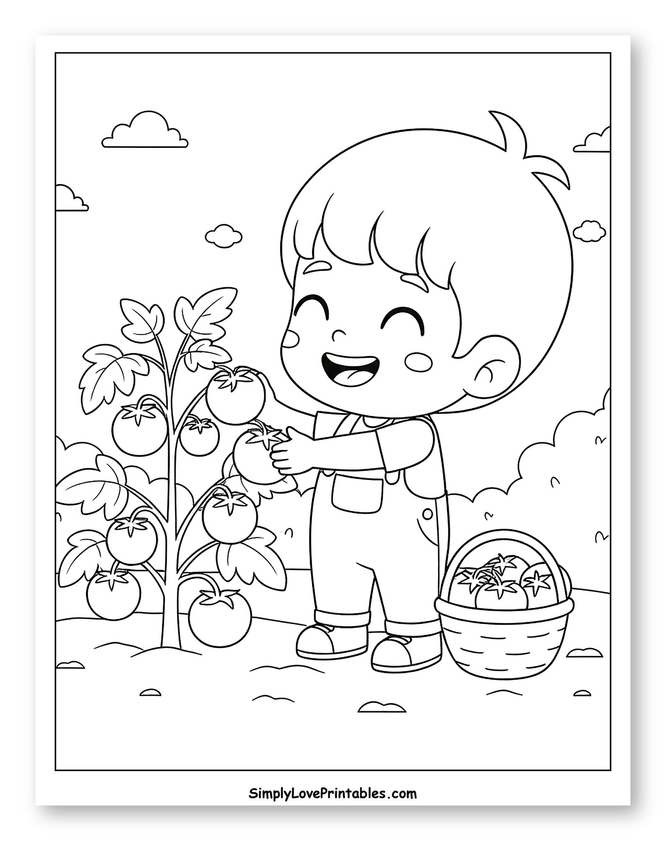 Happy Boy Picking Ripe Tomatoes to Color for Kids
