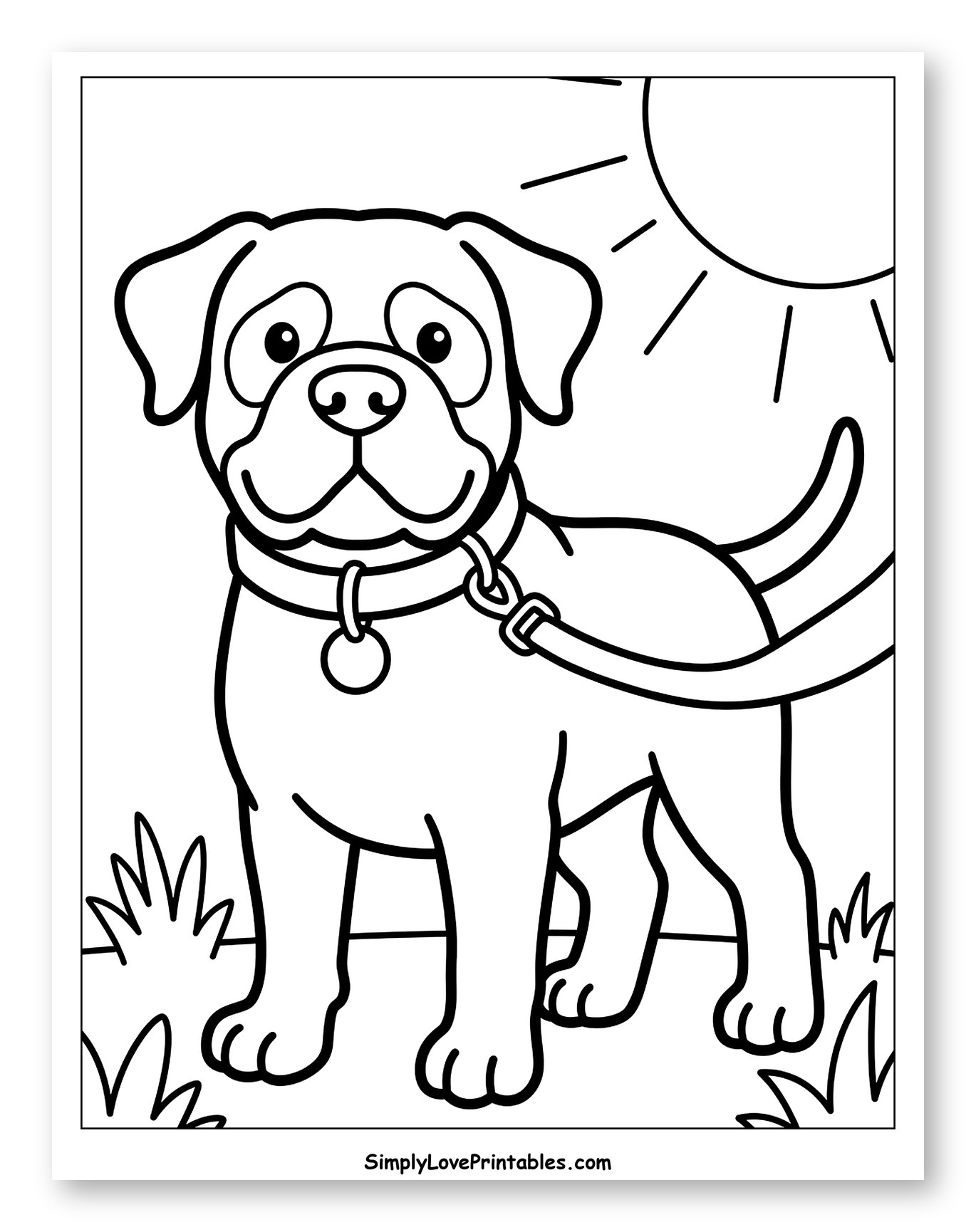 Happy Bullmastiff on a Leash Outdoors