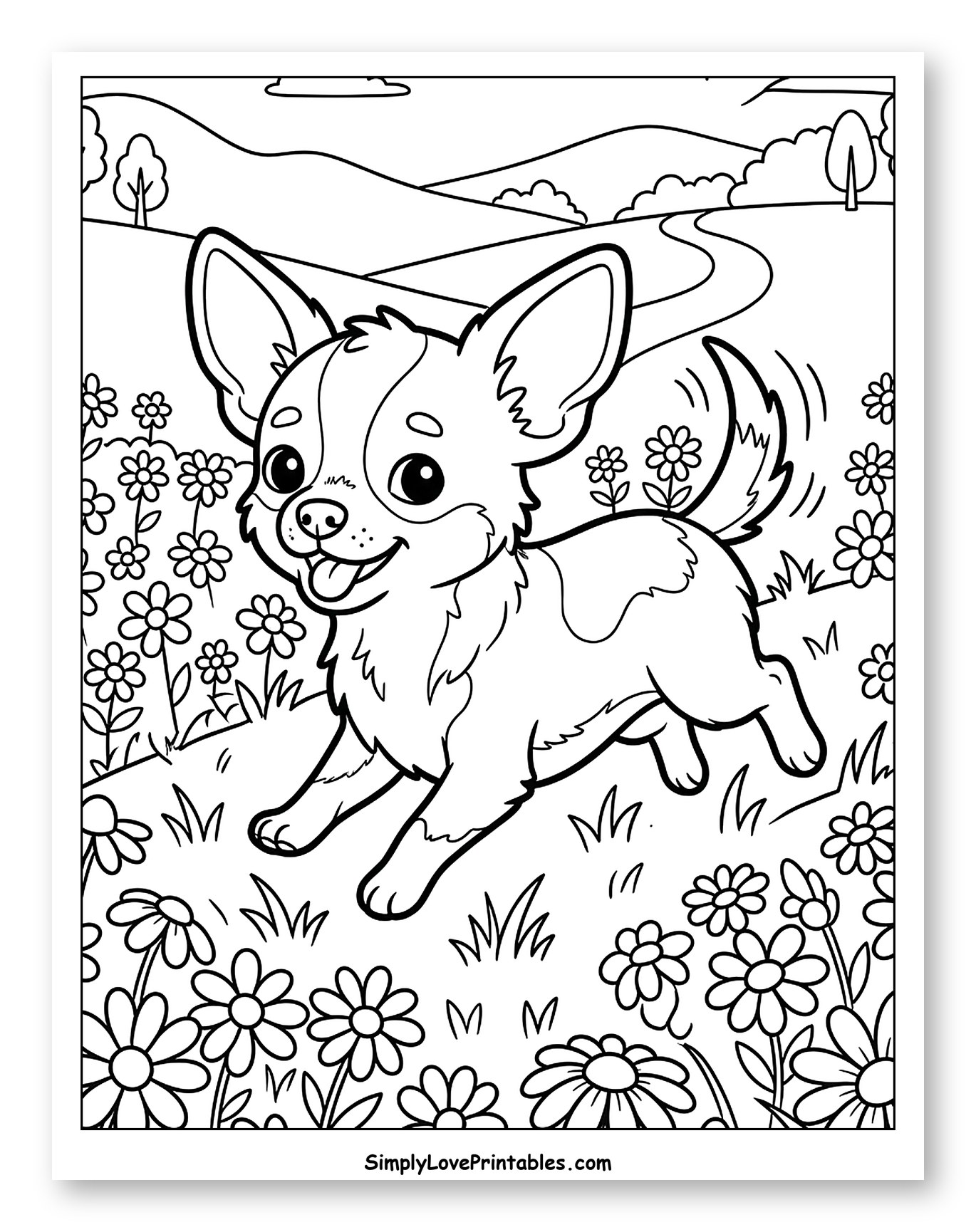 Happy Chihuahua Puppy Running in a Sunny Field