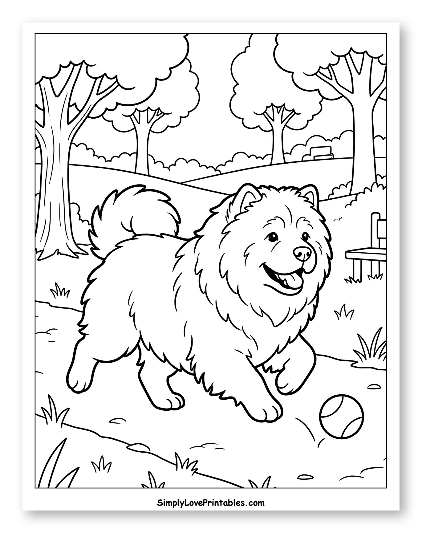 Happy Chow Chow Dog Playing with Ball