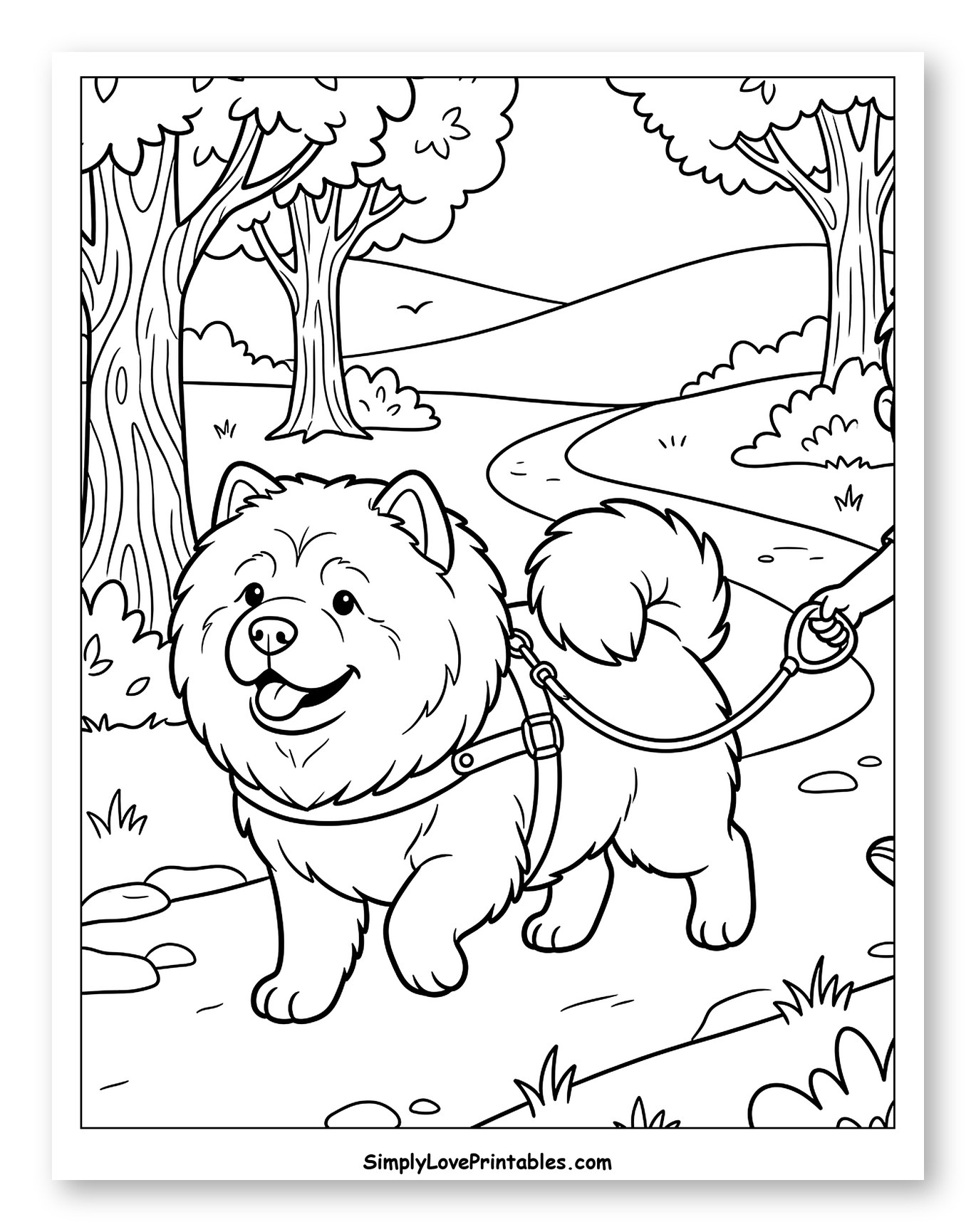 Happy Chow Chow on a Nature Walk