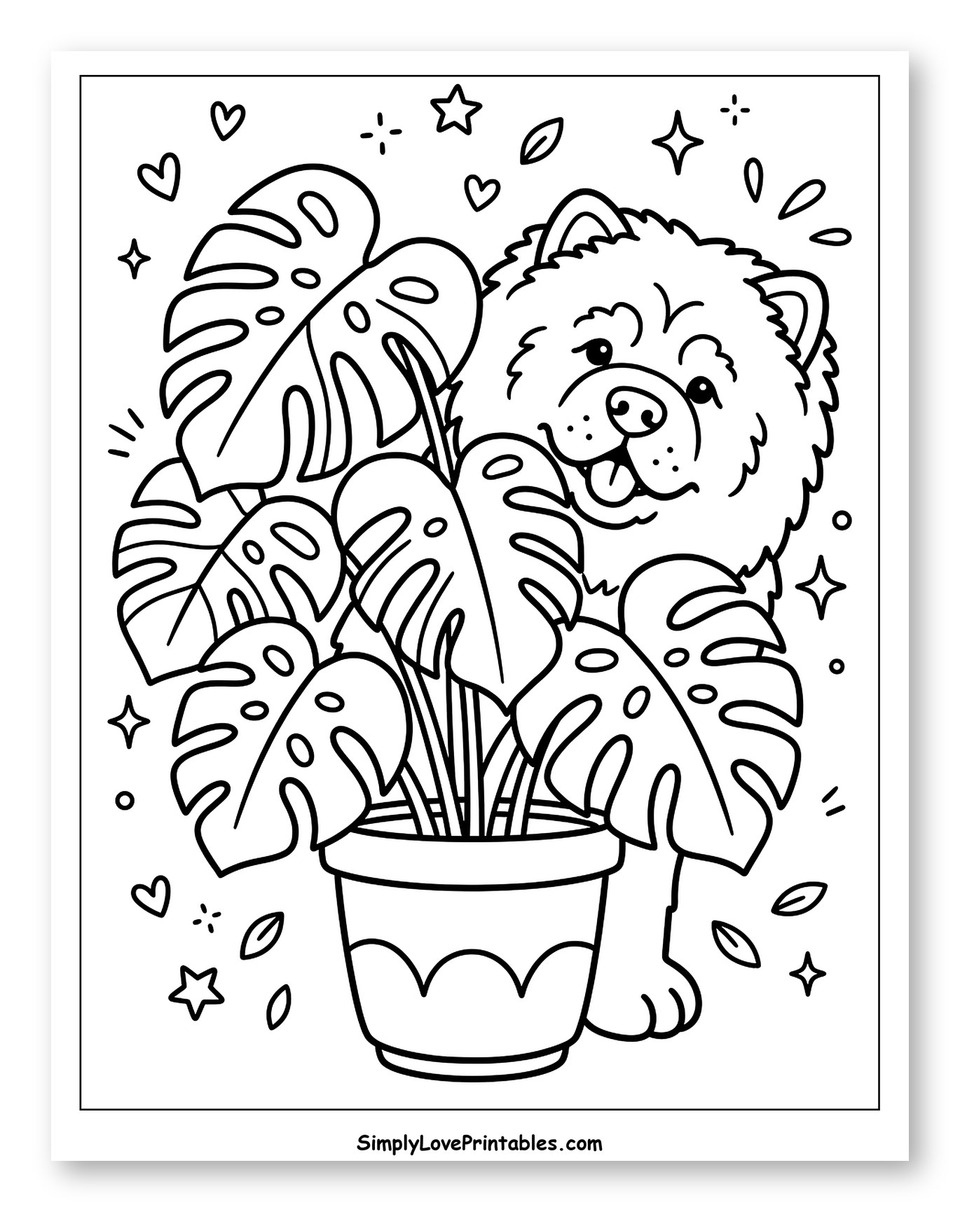 Happy Chow Chow with Potted Monstera Plant