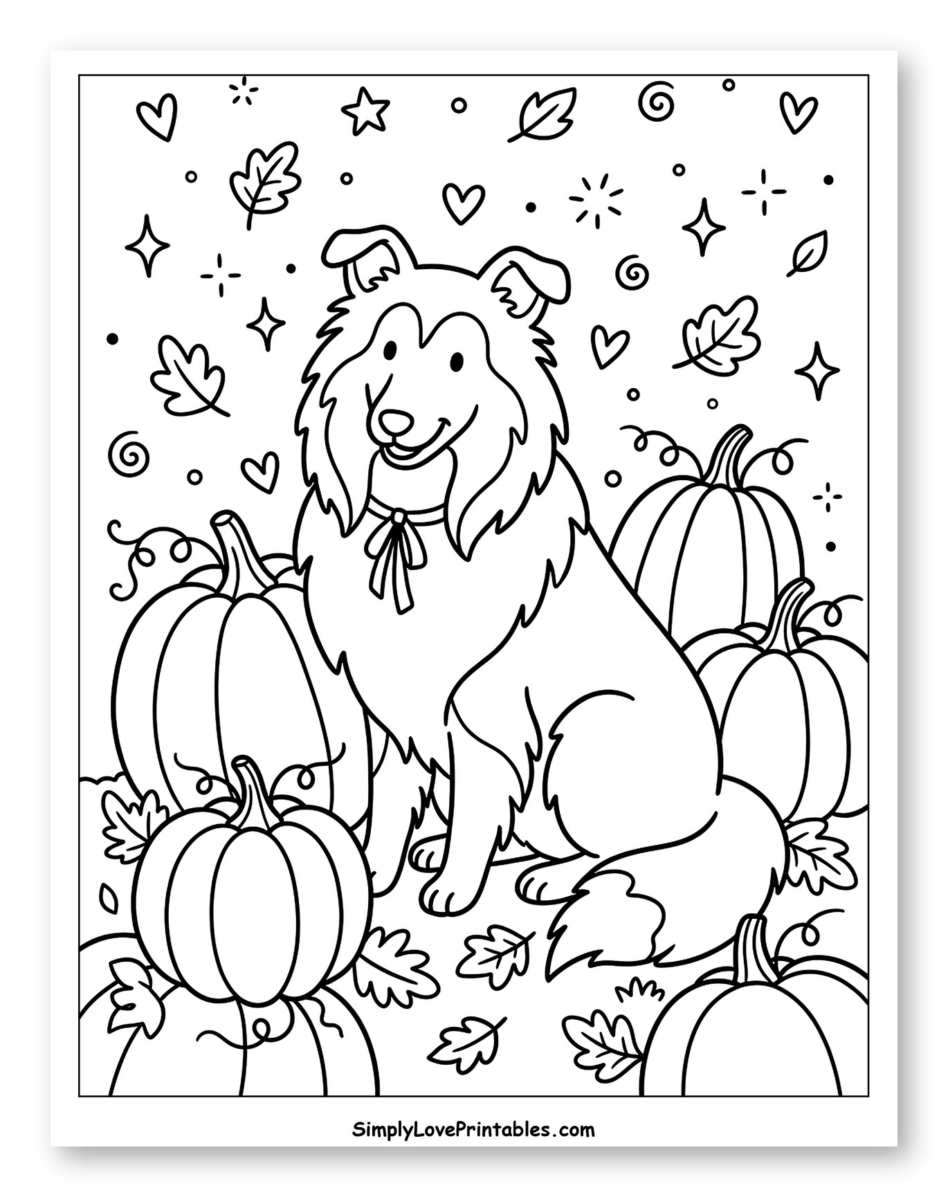 Happy Collie Dog Among Pumpkins and Fall Doodles