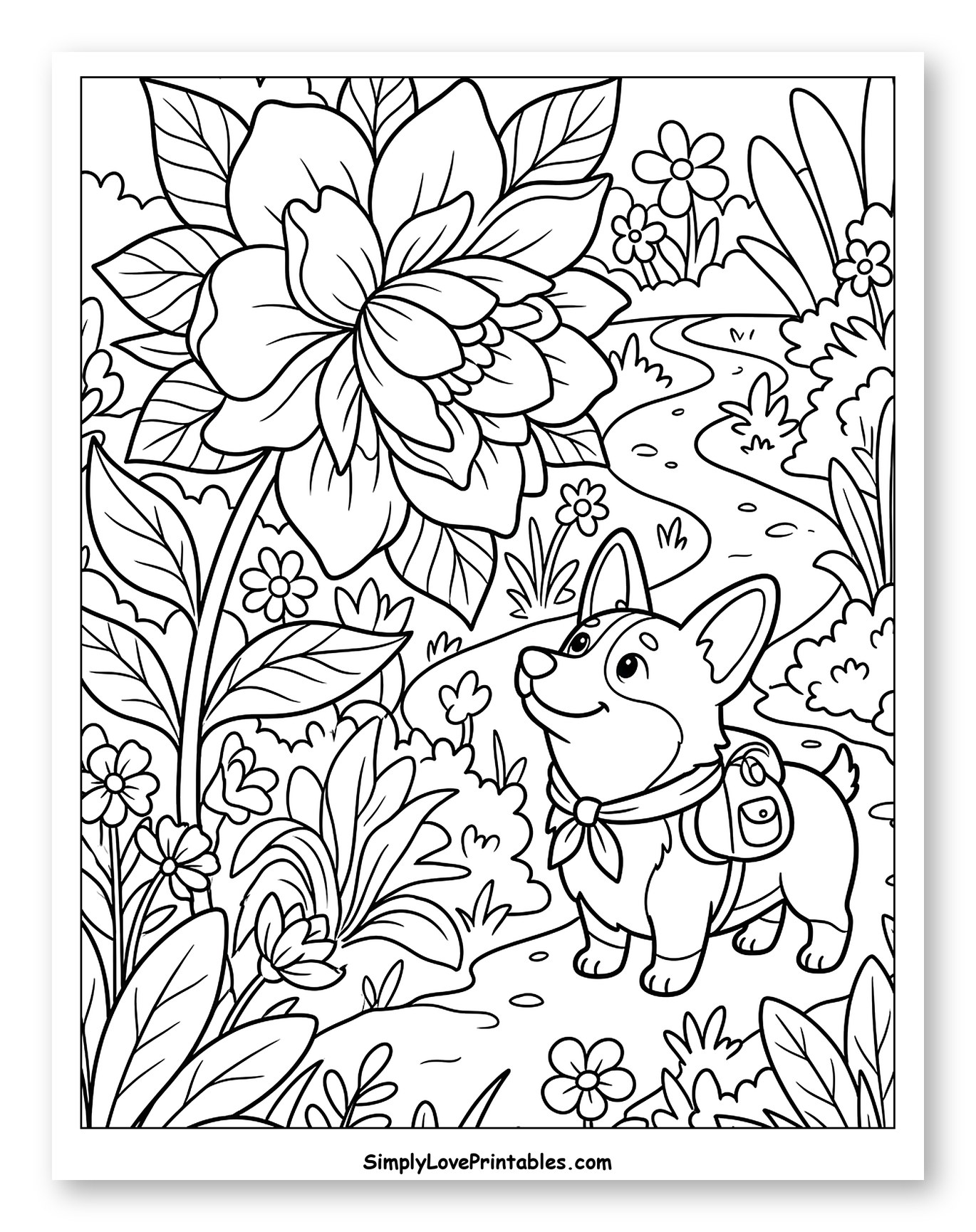 Happy Corgi Admires a Large Flower