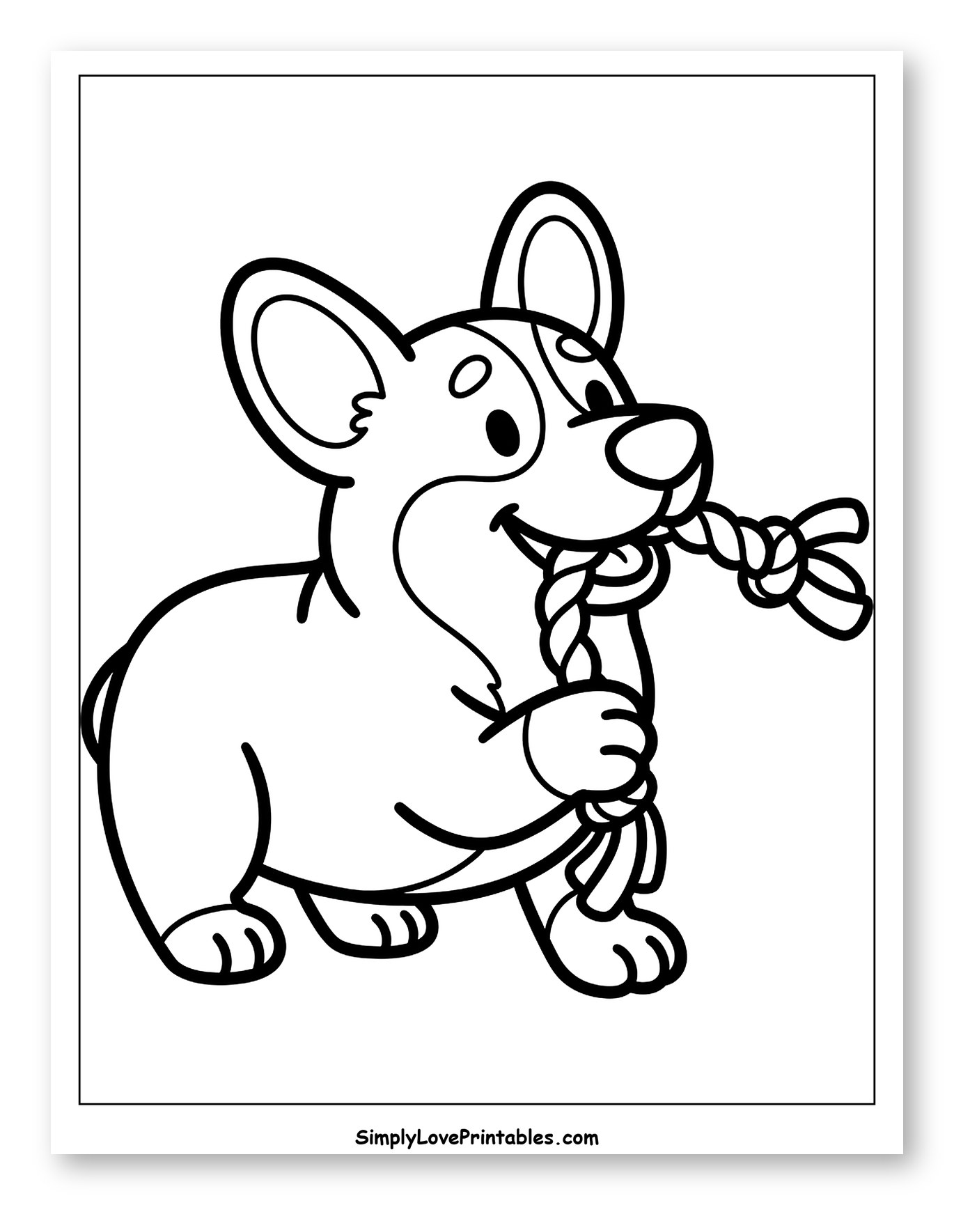 Happy Corgi Playing with Rope Toy
