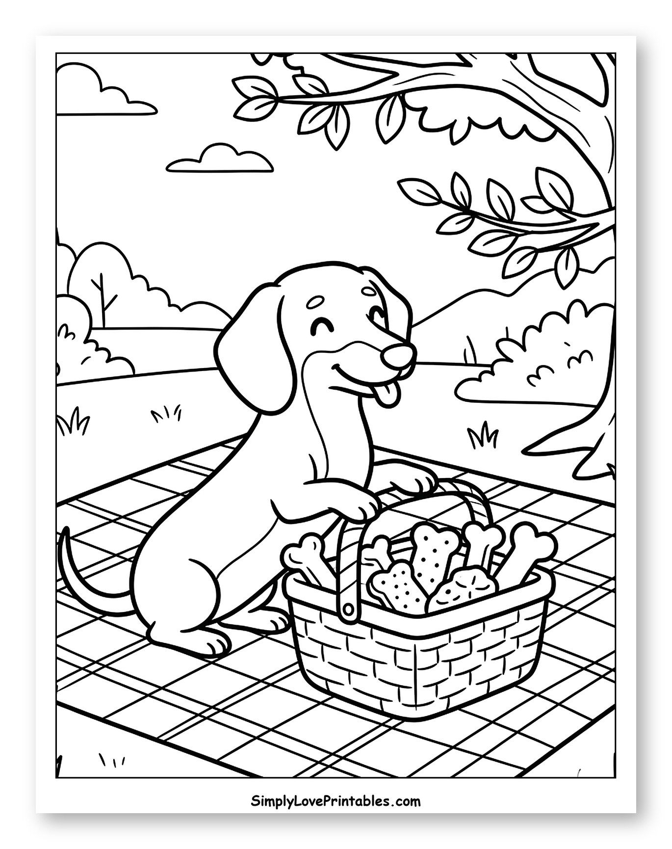Happy Dachshund at a Picnic with Treats