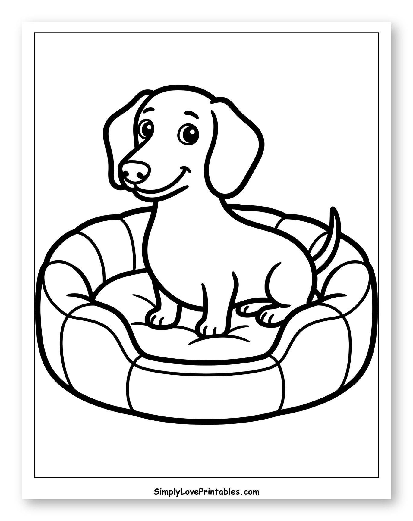 Happy Dachshund Puppy in Cozy Bed