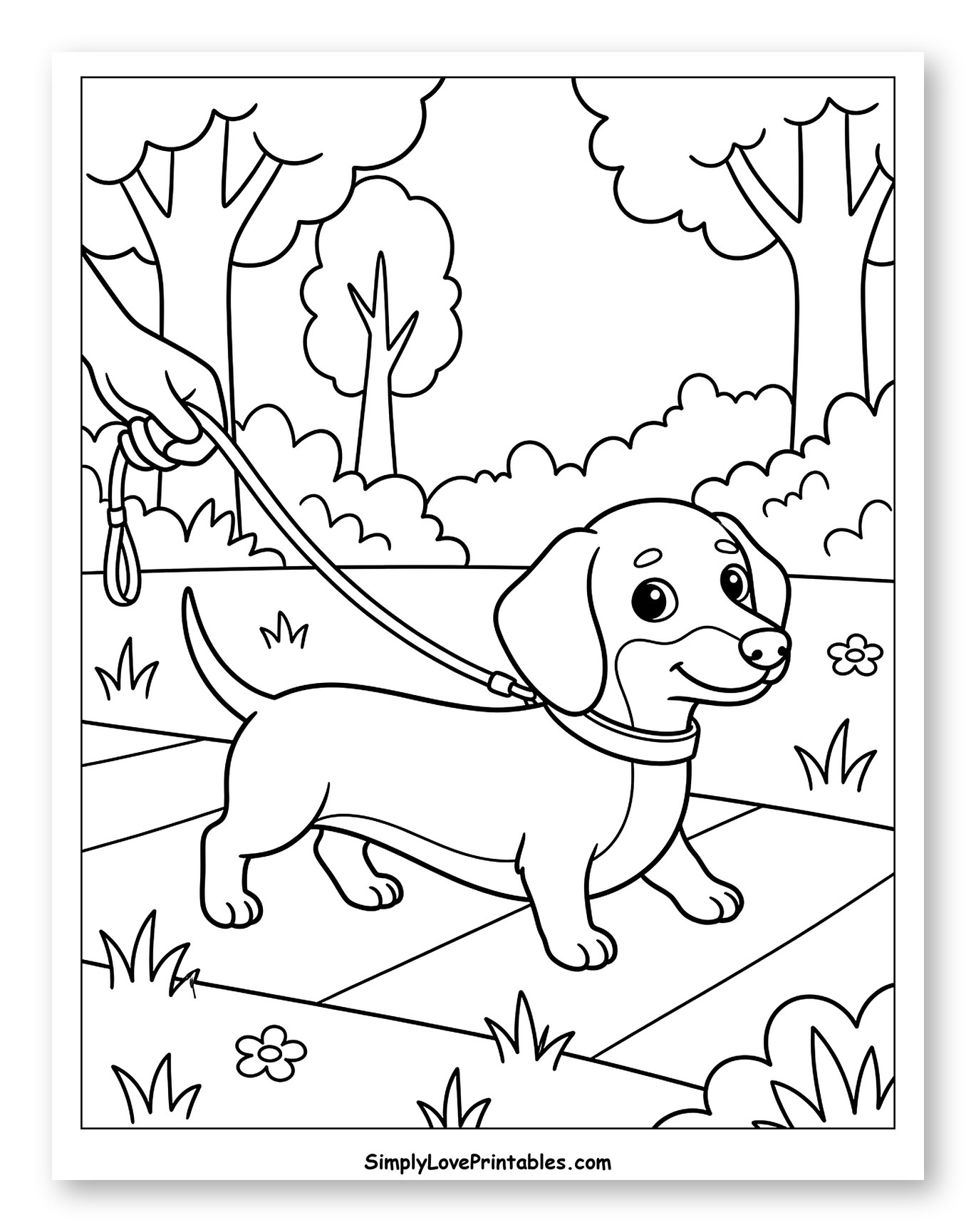 Happy Dachshund Puppy on a Leash Coloring Page for Kids