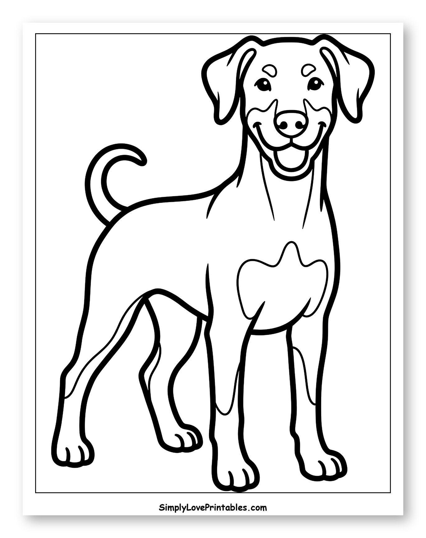 Happy Doberman Standing Upright
