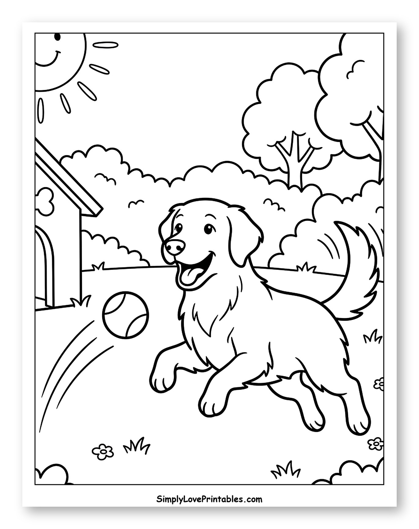 Happy Dog Playing with Ball Outdoors