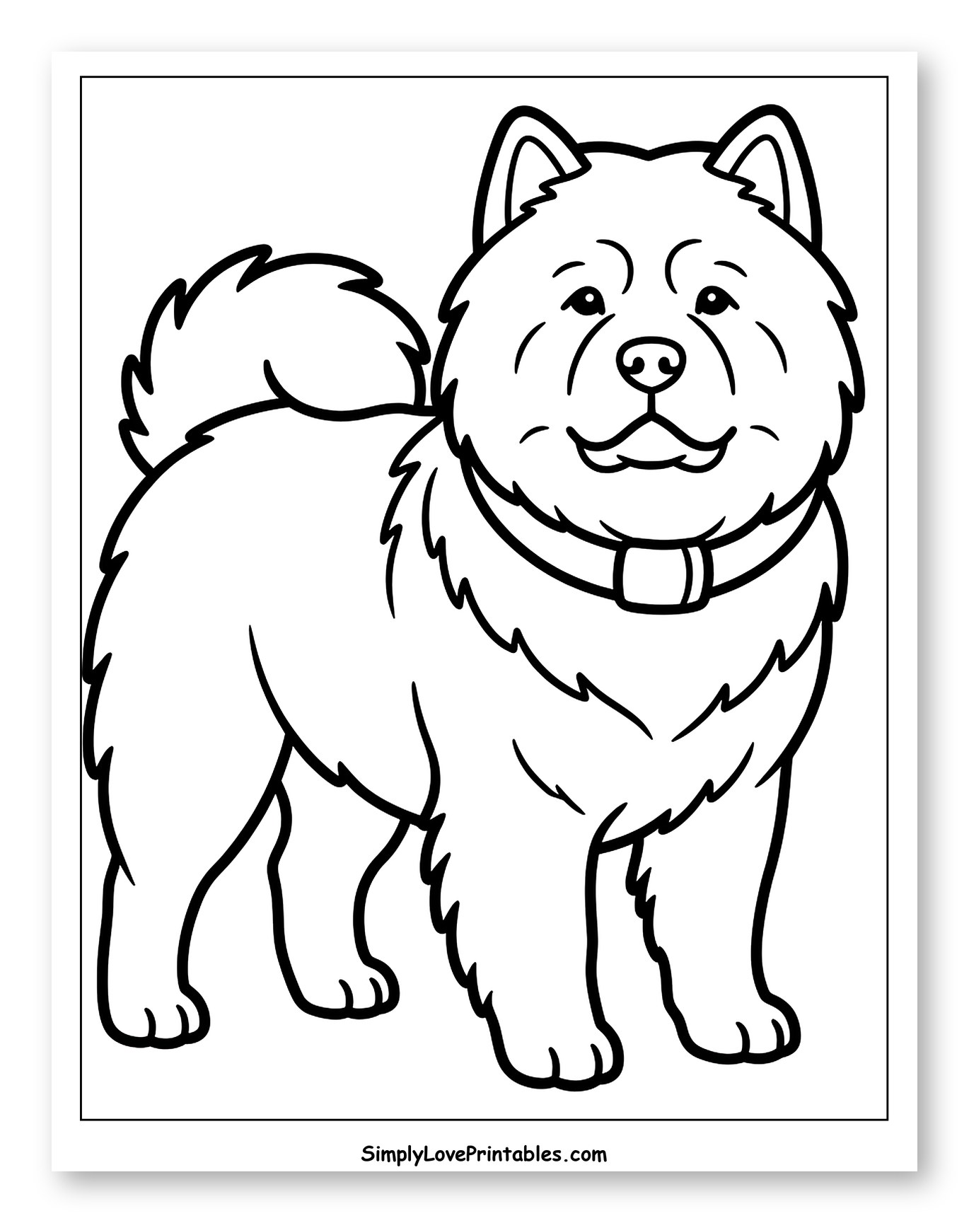 Happy Fluffy Chow Chow Puppy