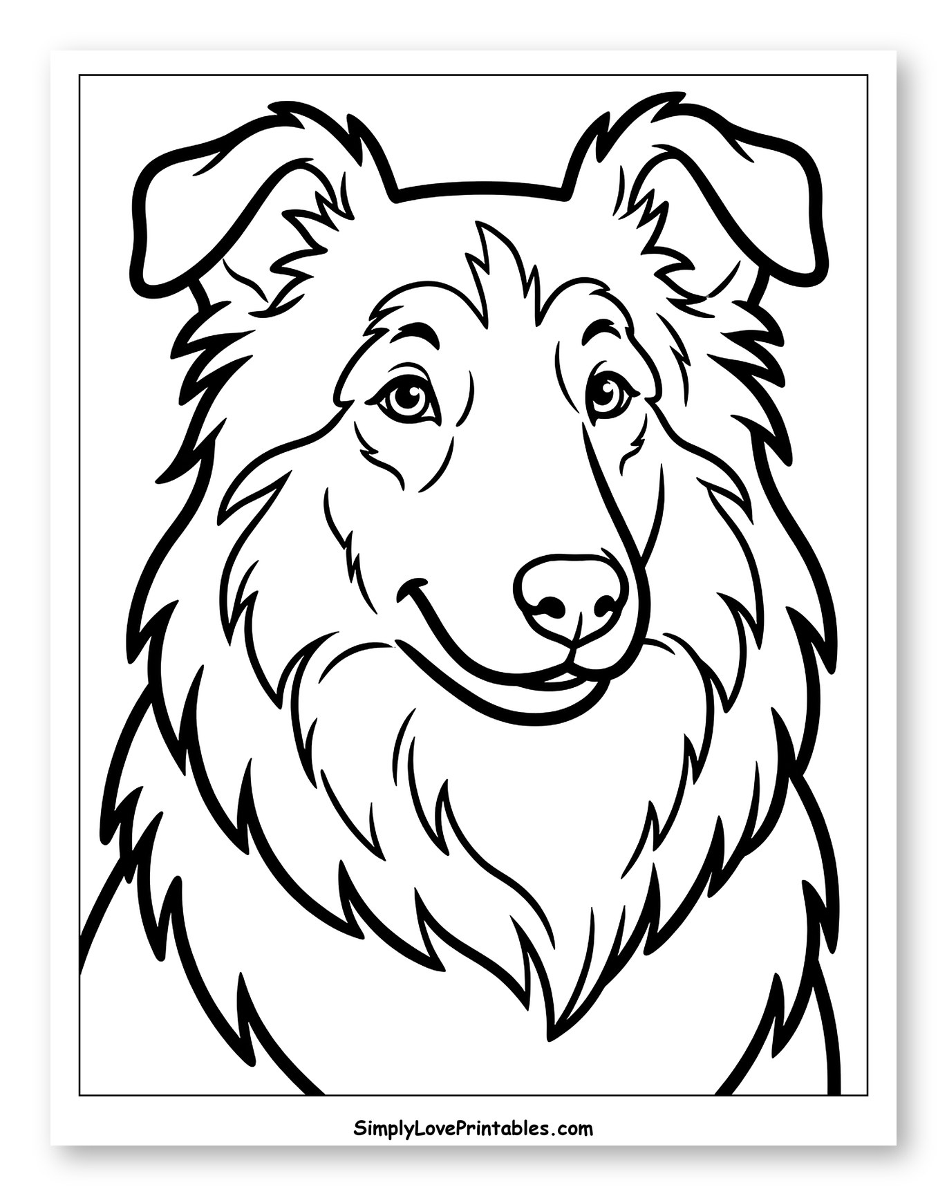 Happy Fluffy Lassie Dog Face