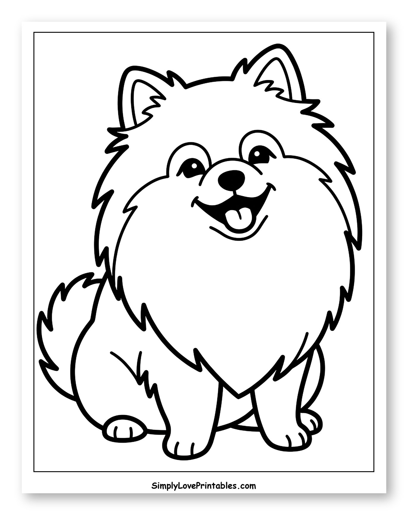 Happy Fluffy Pomeranian Dog Sitting