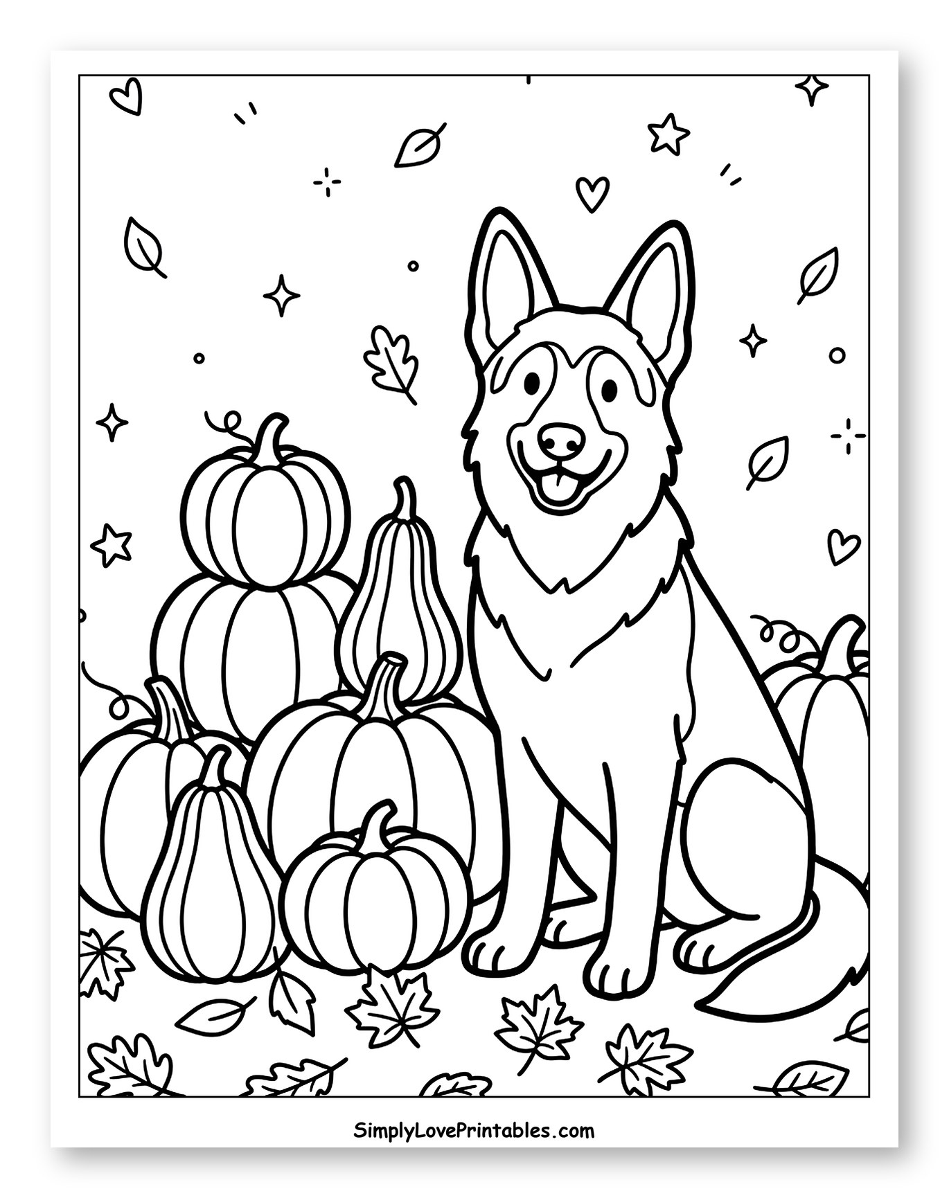 Happy German Shepherd Dog with Autumn Pumpkins