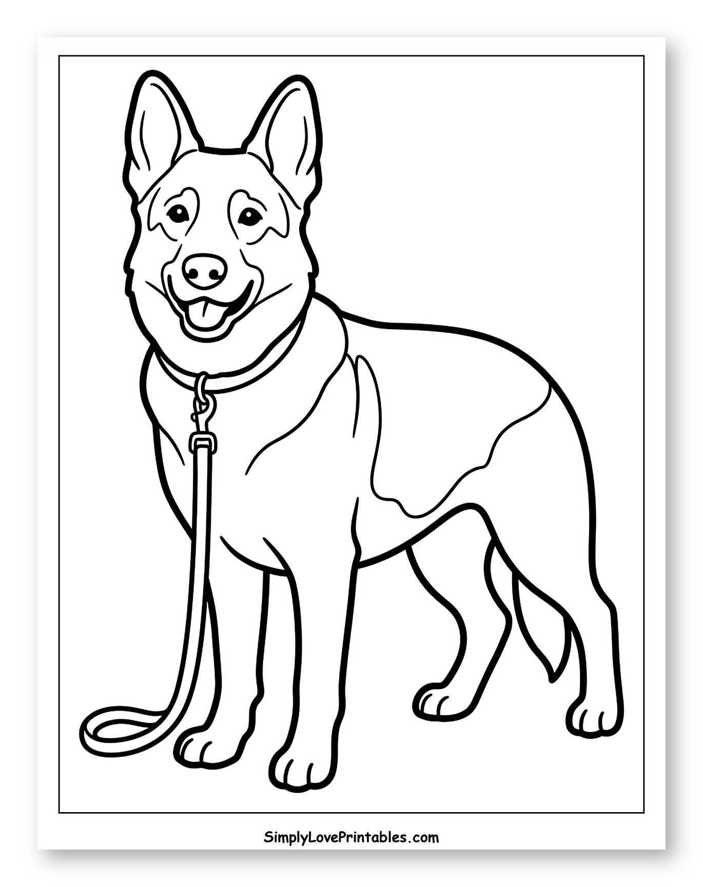 Happy German Shepherd with Collar and Leash