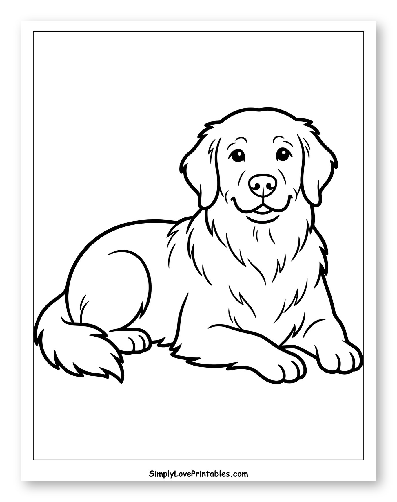 Happy Golden Retriever Lying Down