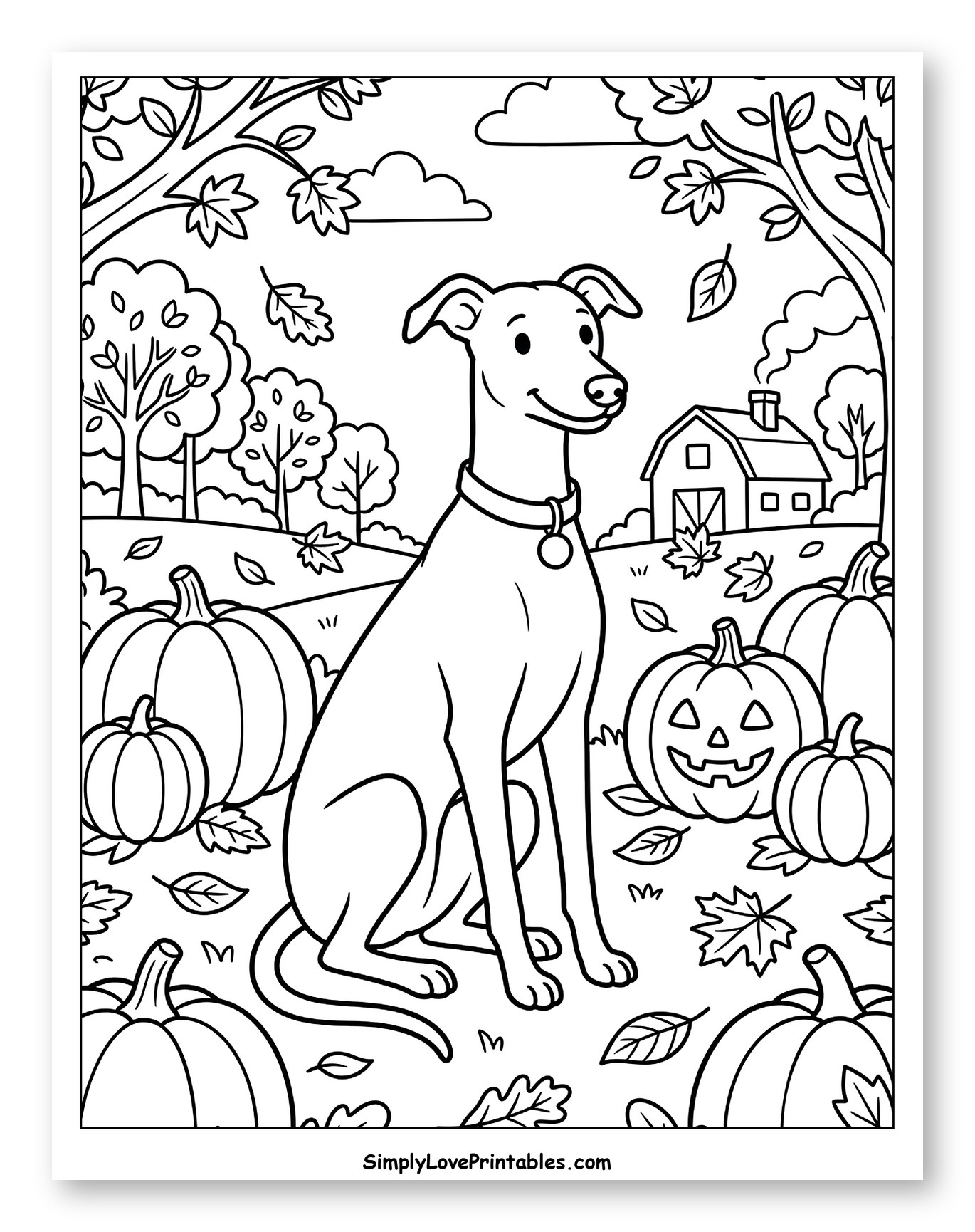Happy Greyhound in a Fall Pumpkin Patch