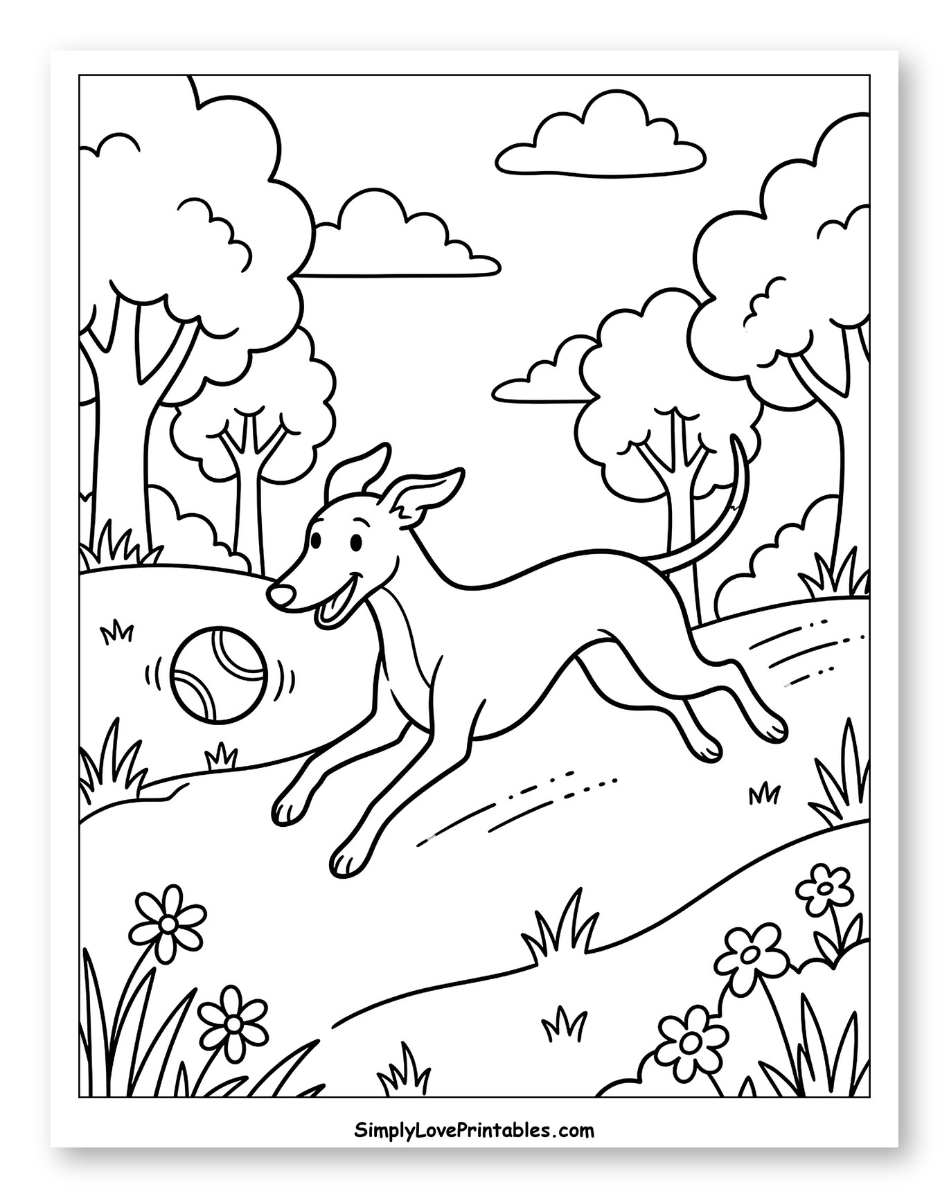Happy Greyhound Playing Ball in Park