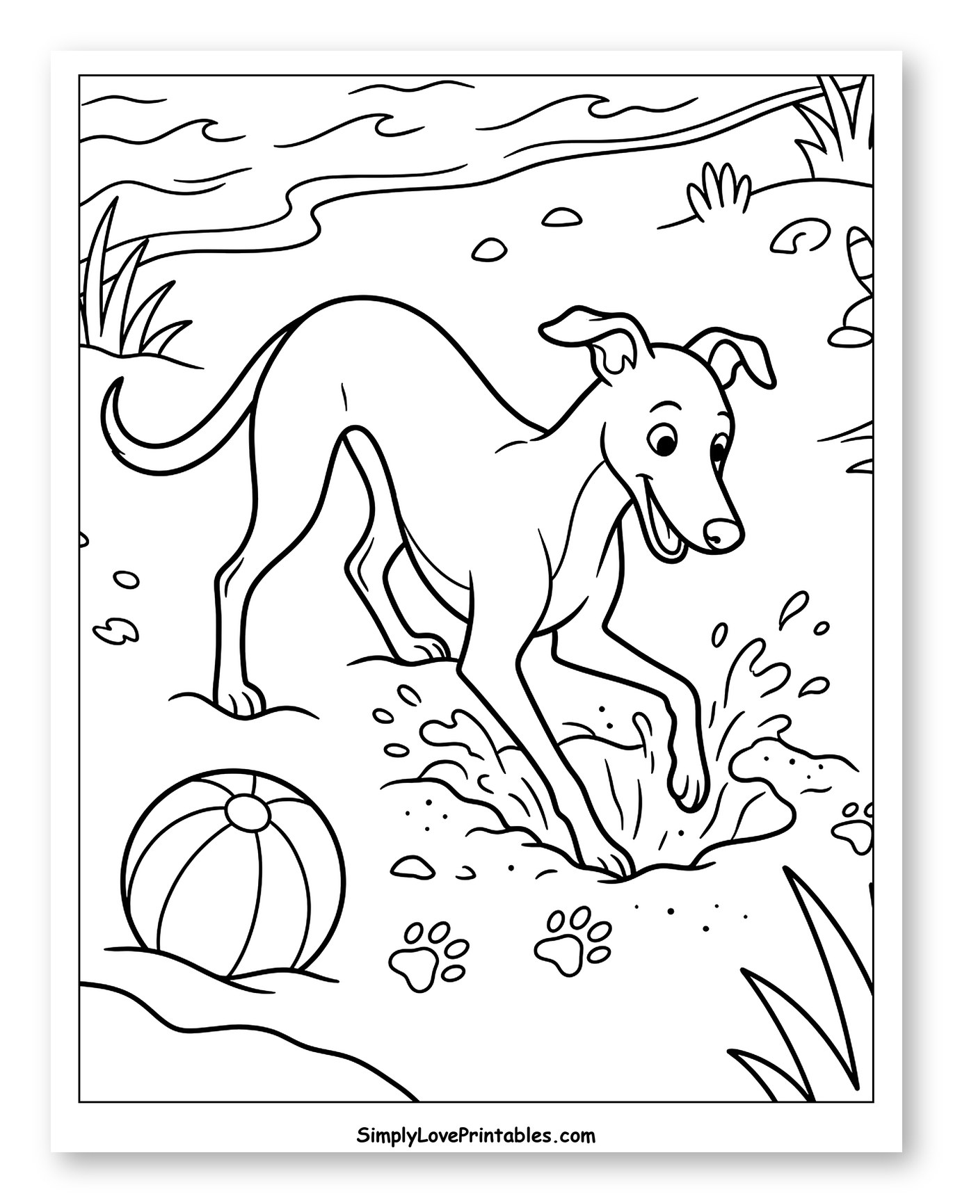 Happy Greyhound Splashing Water on the Beach Coloring Sheet for Kids