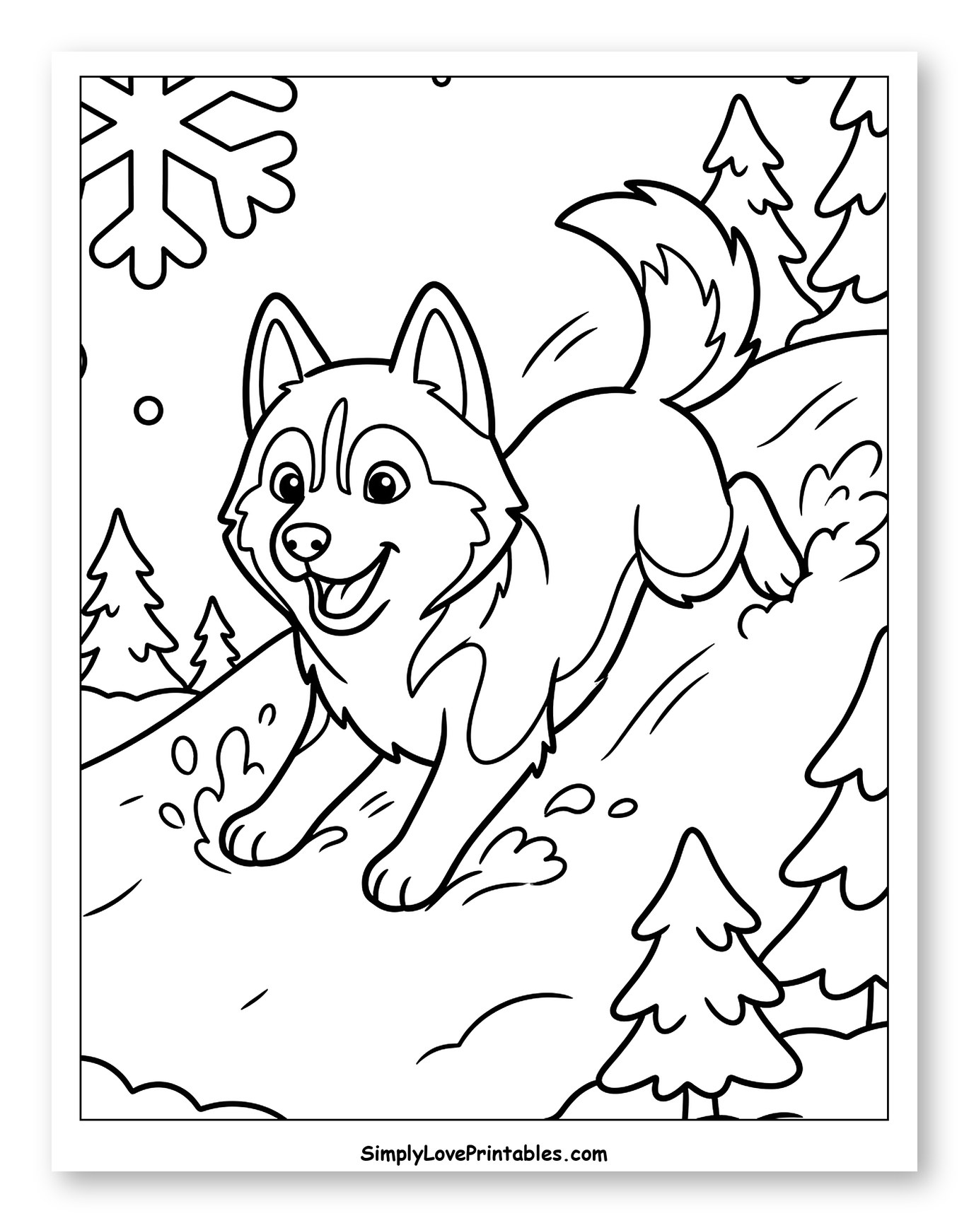 Happy Husky Dog Running in Snow