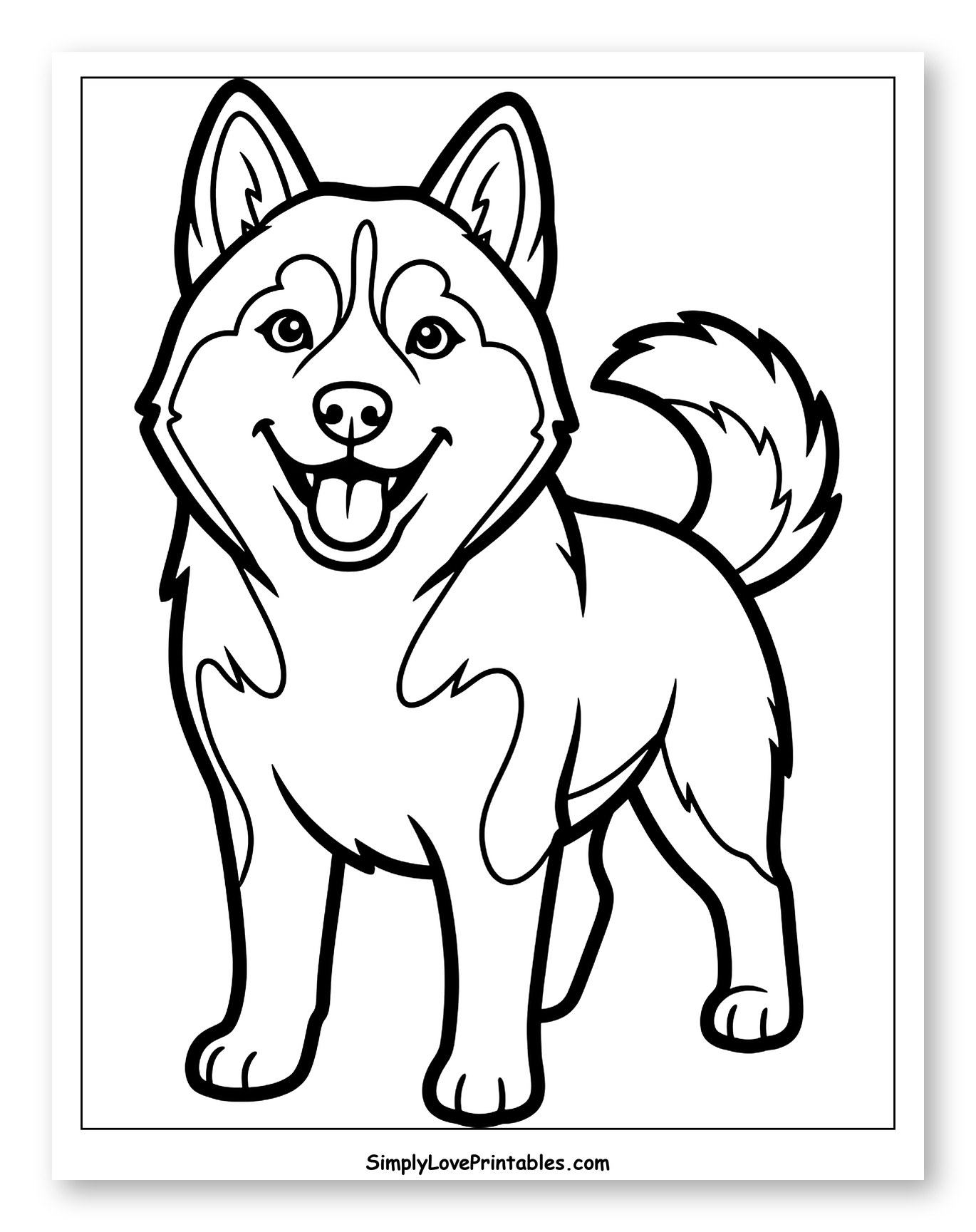 Happy Husky Standing and Smiling