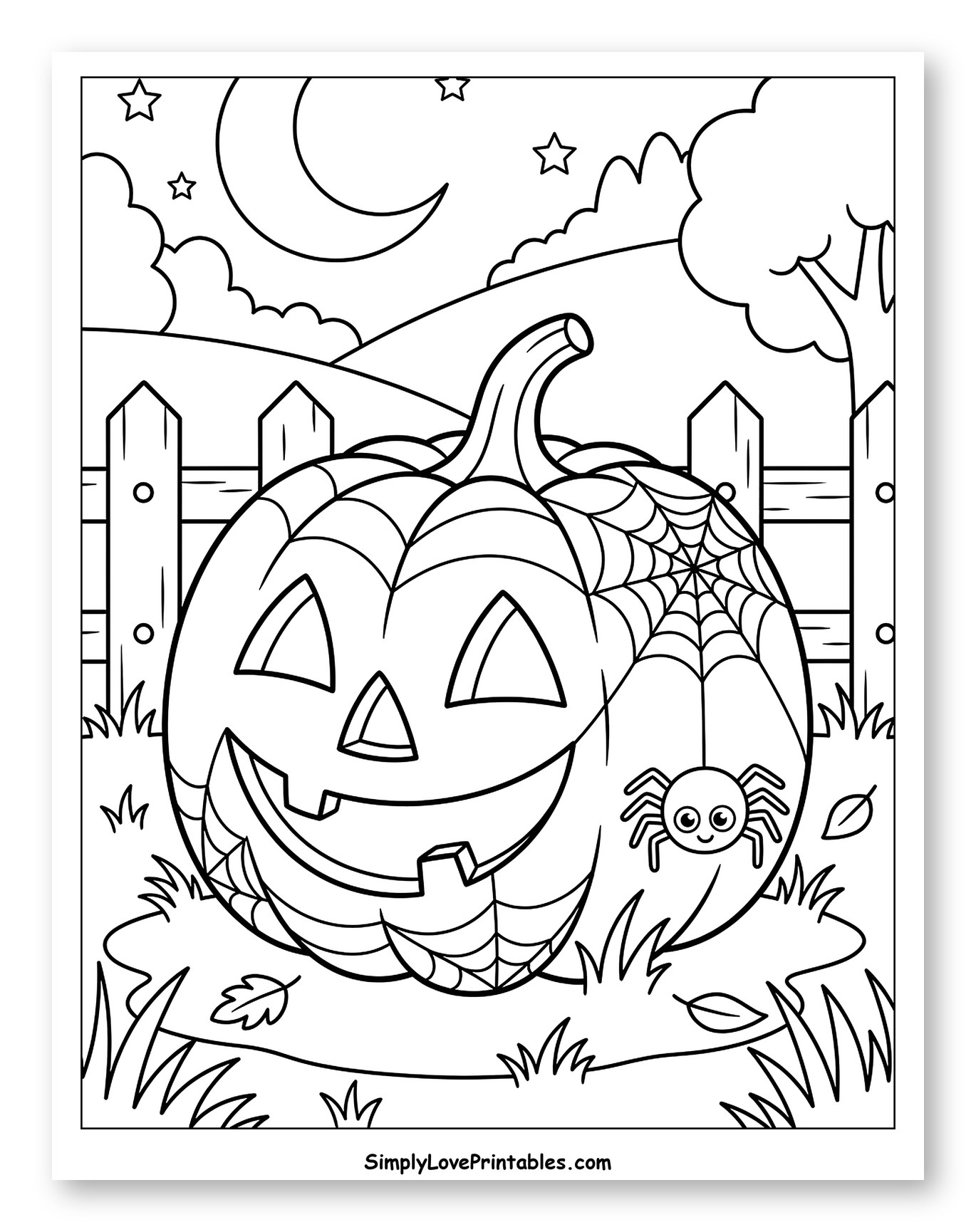Happy Jack-o'-Lantern with Spider at Night