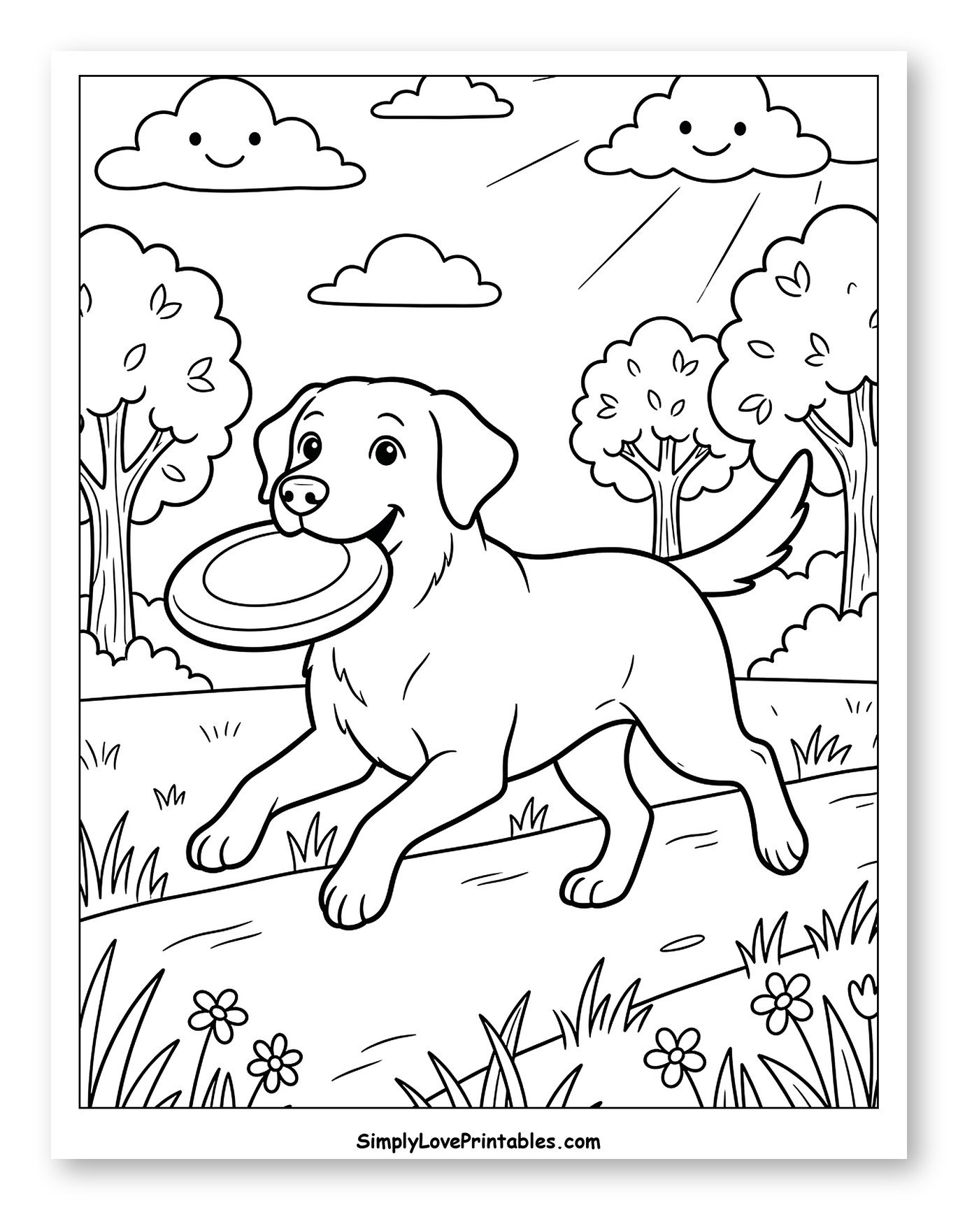 Happy Labrador Running with a Frisbee