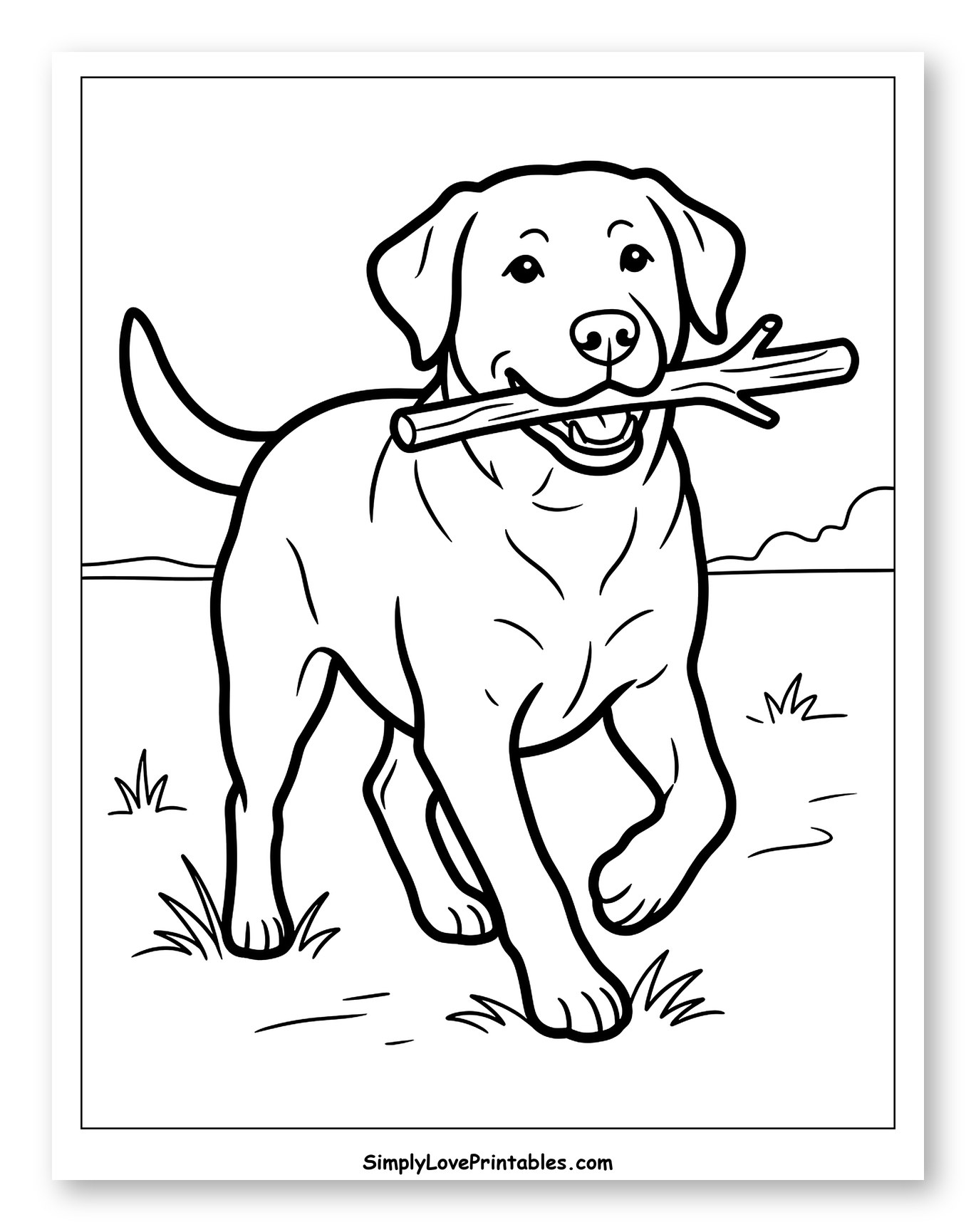 Happy Labrador Running with a Stick Coloring Page for Toddlers
