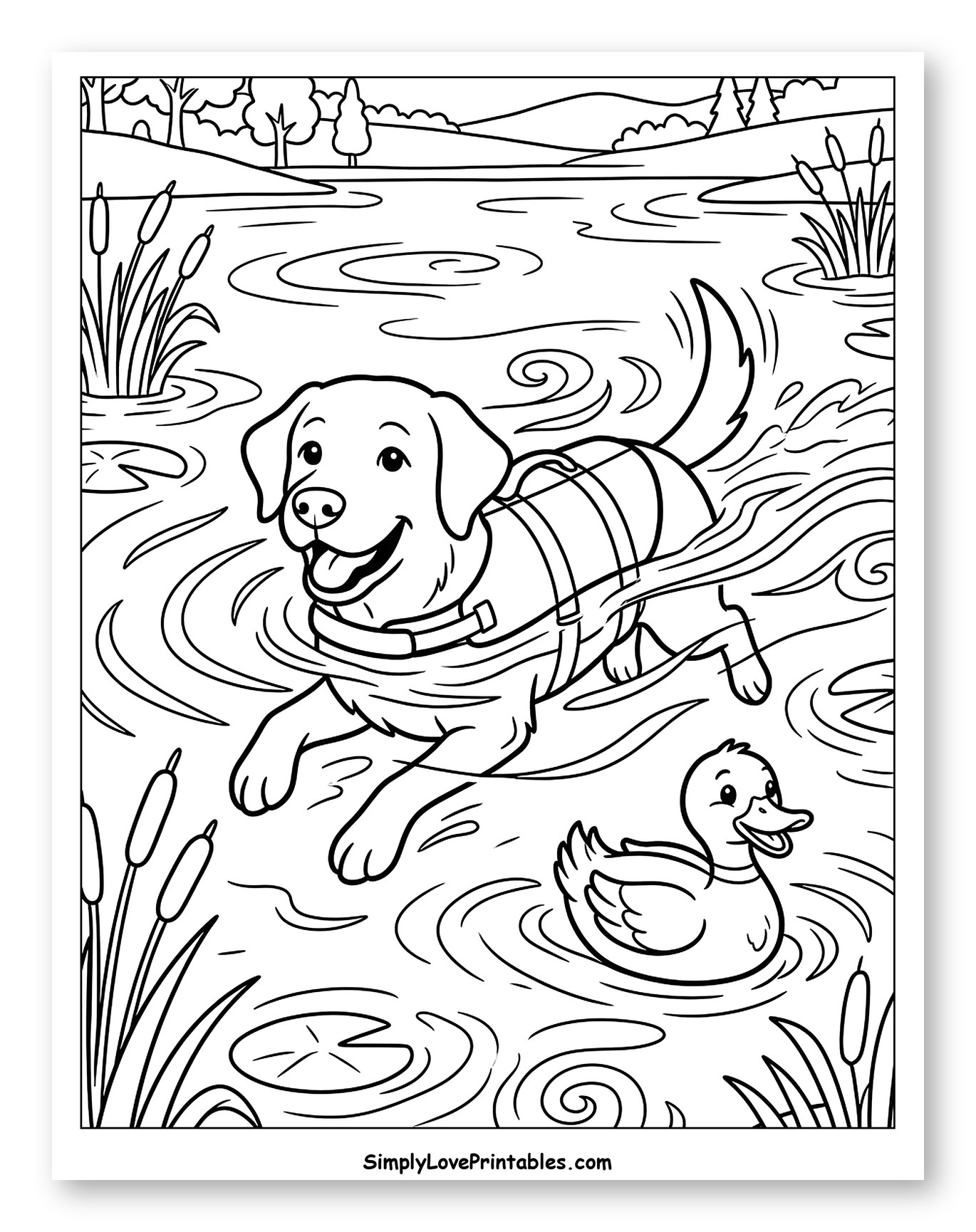 Happy Labrador Swimming with a Duck Coloring Page for Kids