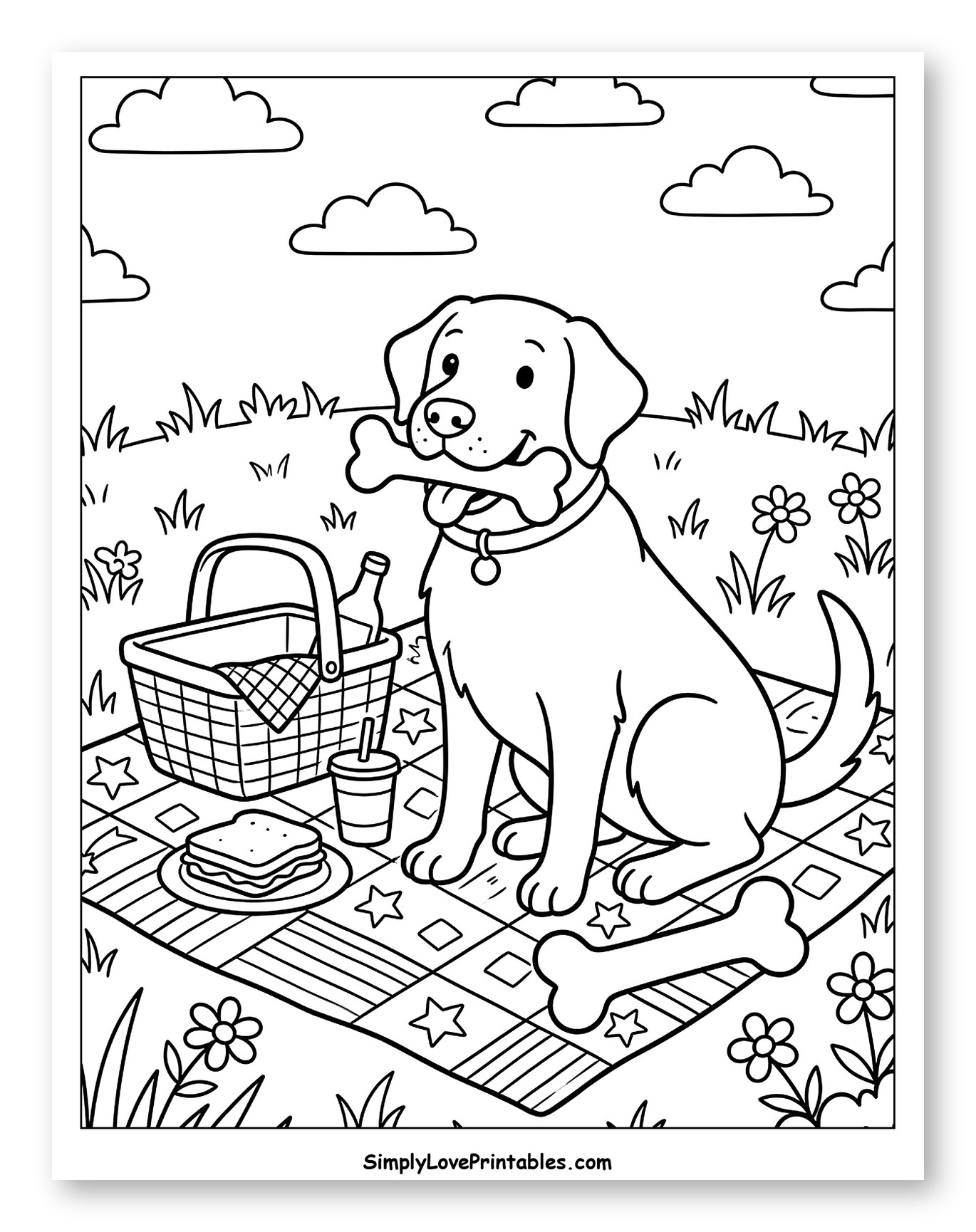 Happy Labrador with Bone on Picnic Blanket