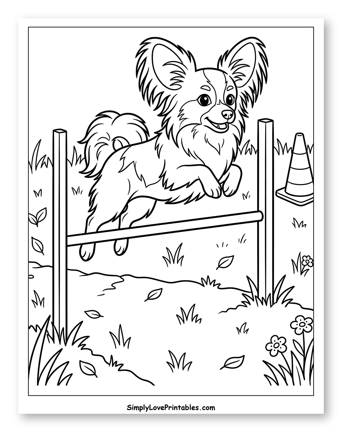 Happy Papillon Dog Jumping Agility Hurdle