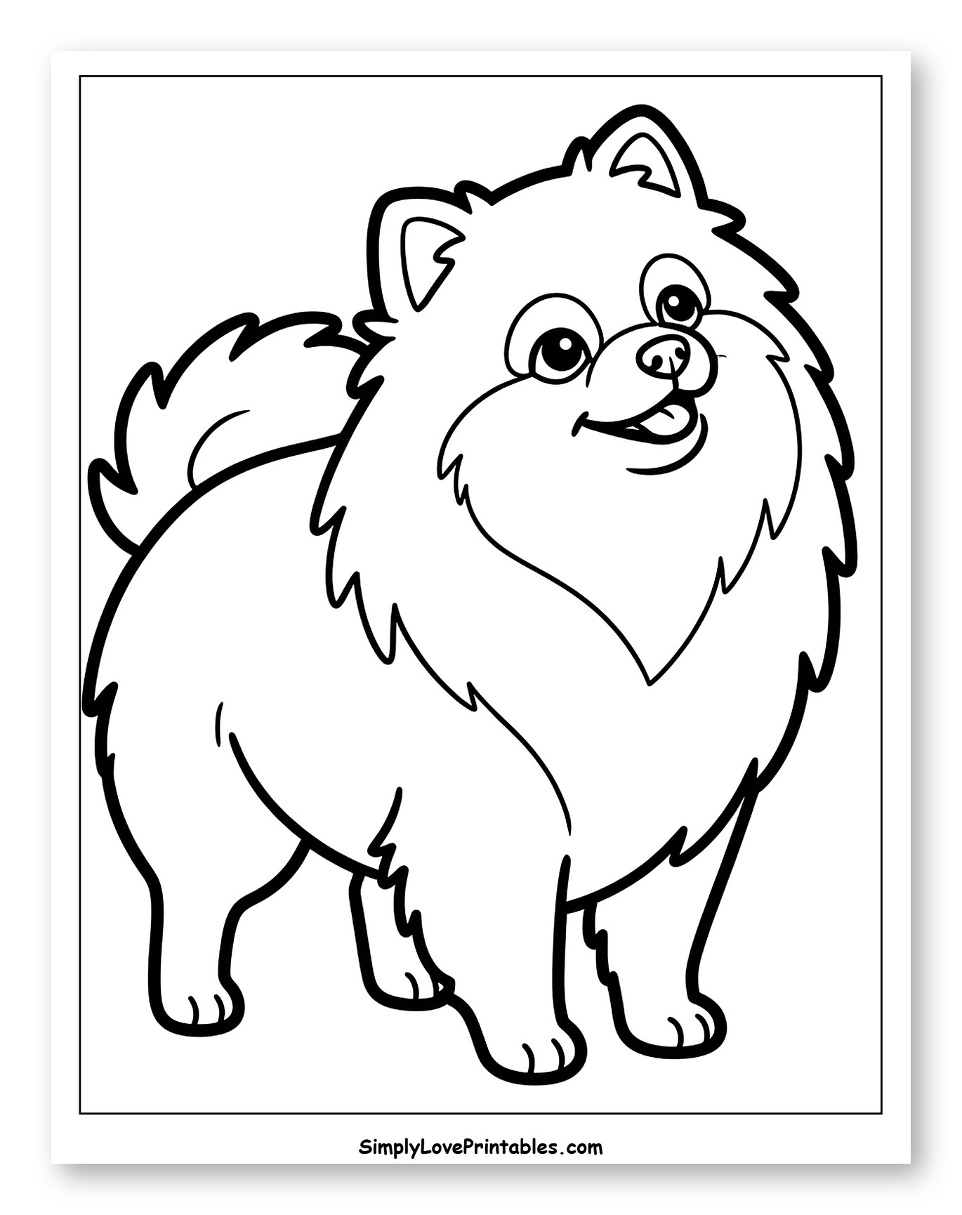 Happy Pomeranian Dog Standing