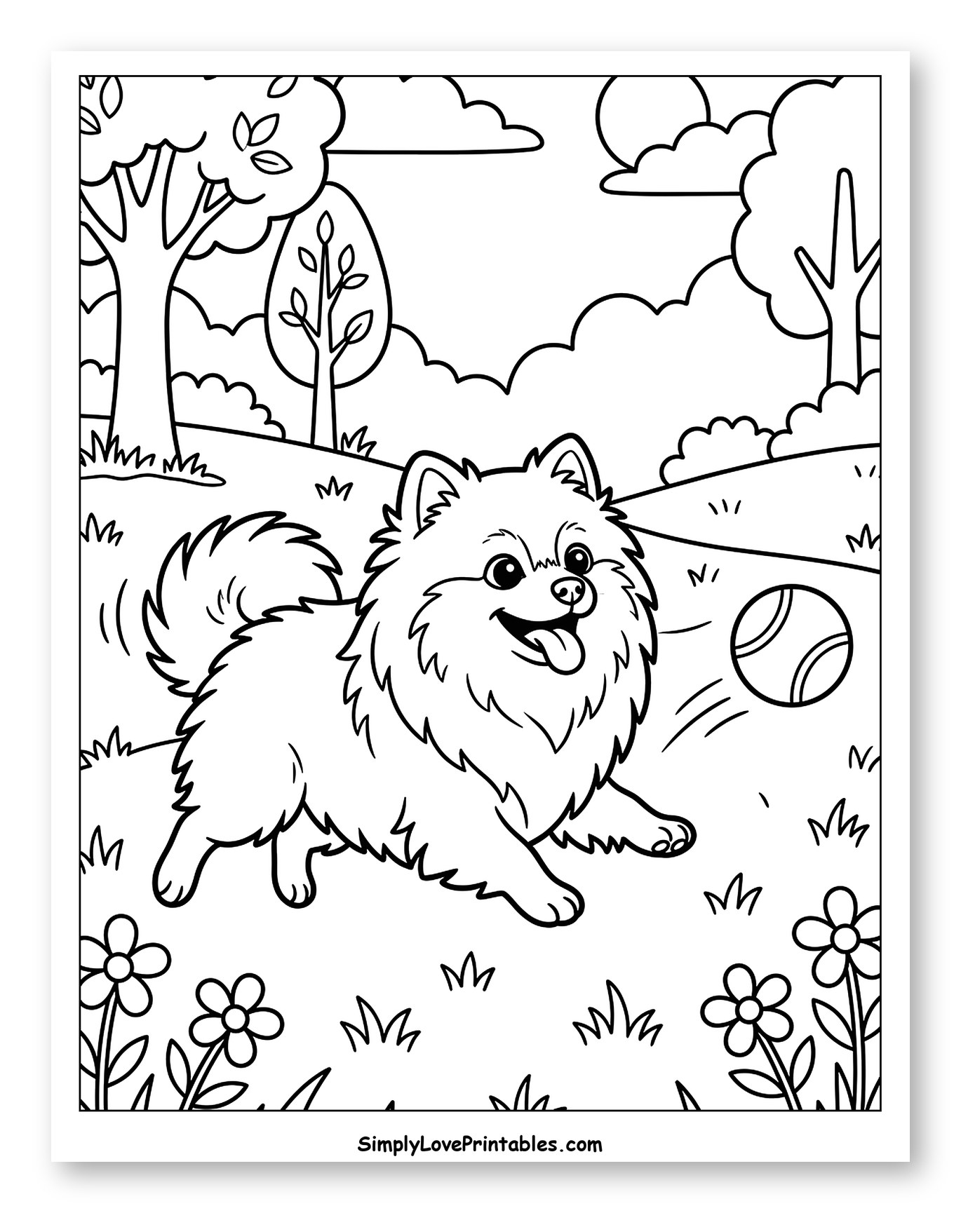 Happy Pomeranian Playing in Park