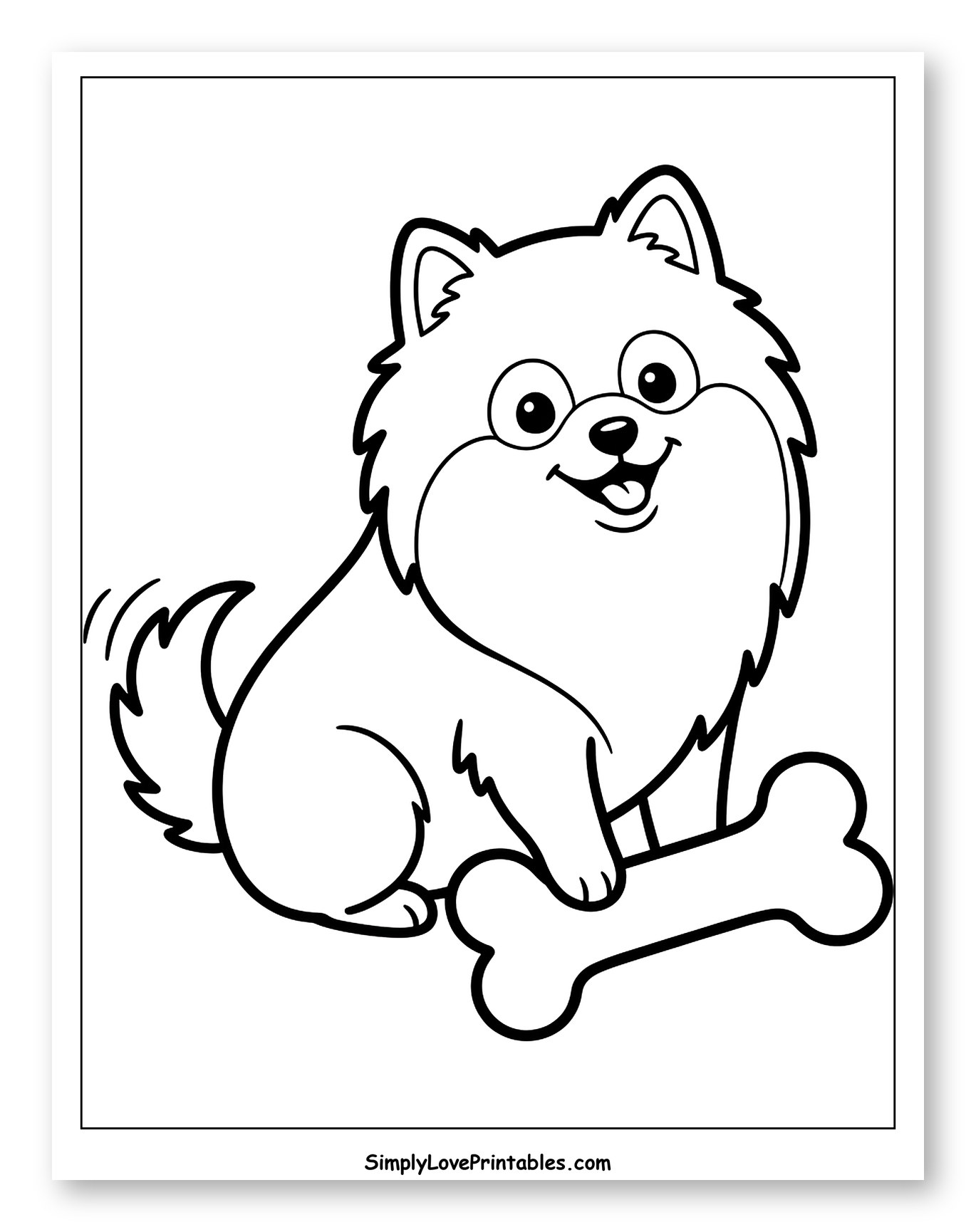 Happy Pomeranian with Bone