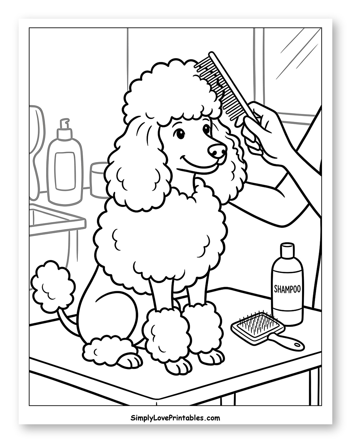 Happy Poodle Getting Groomed to Color for Kids