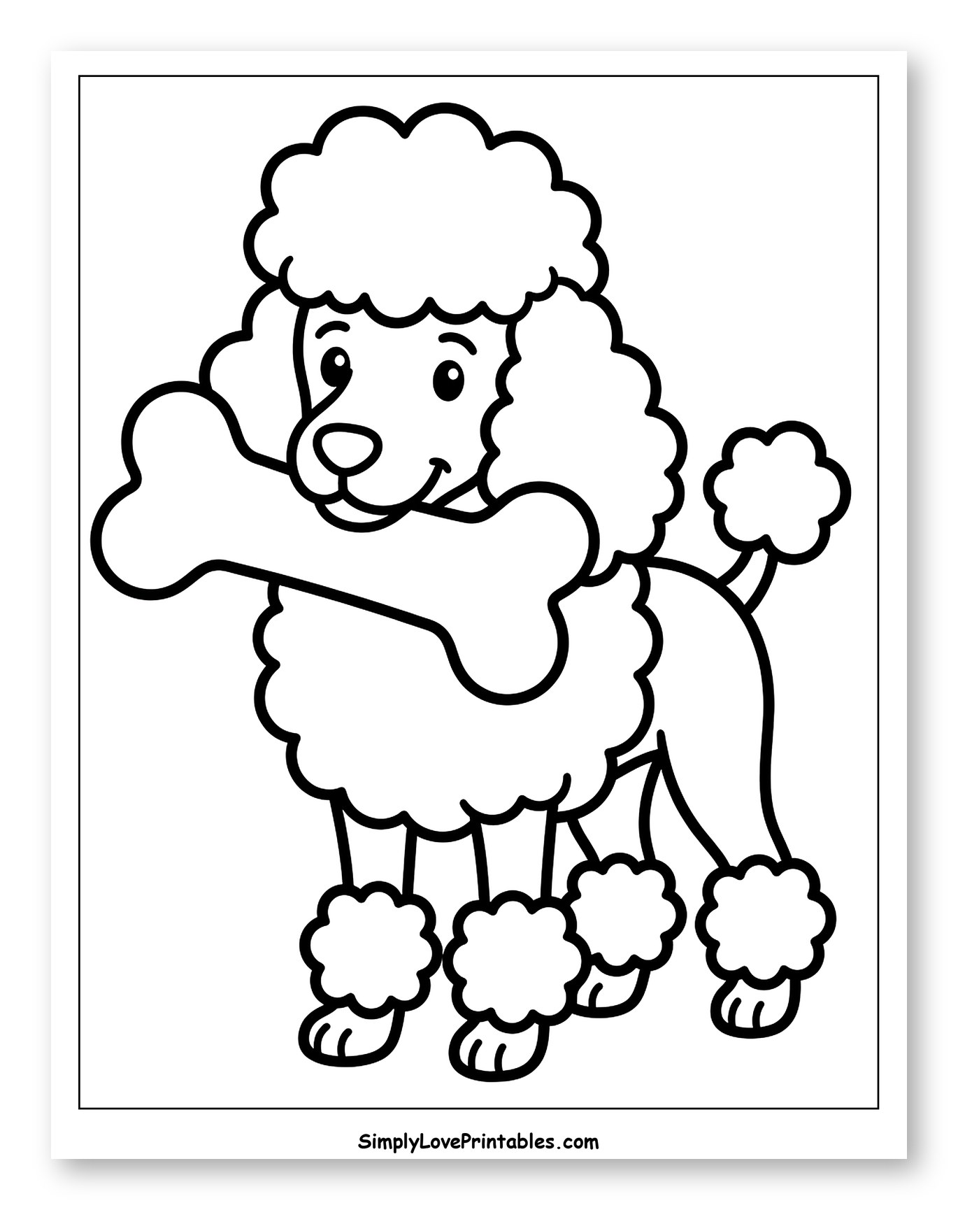 Happy Poodle Holding a Large Bone