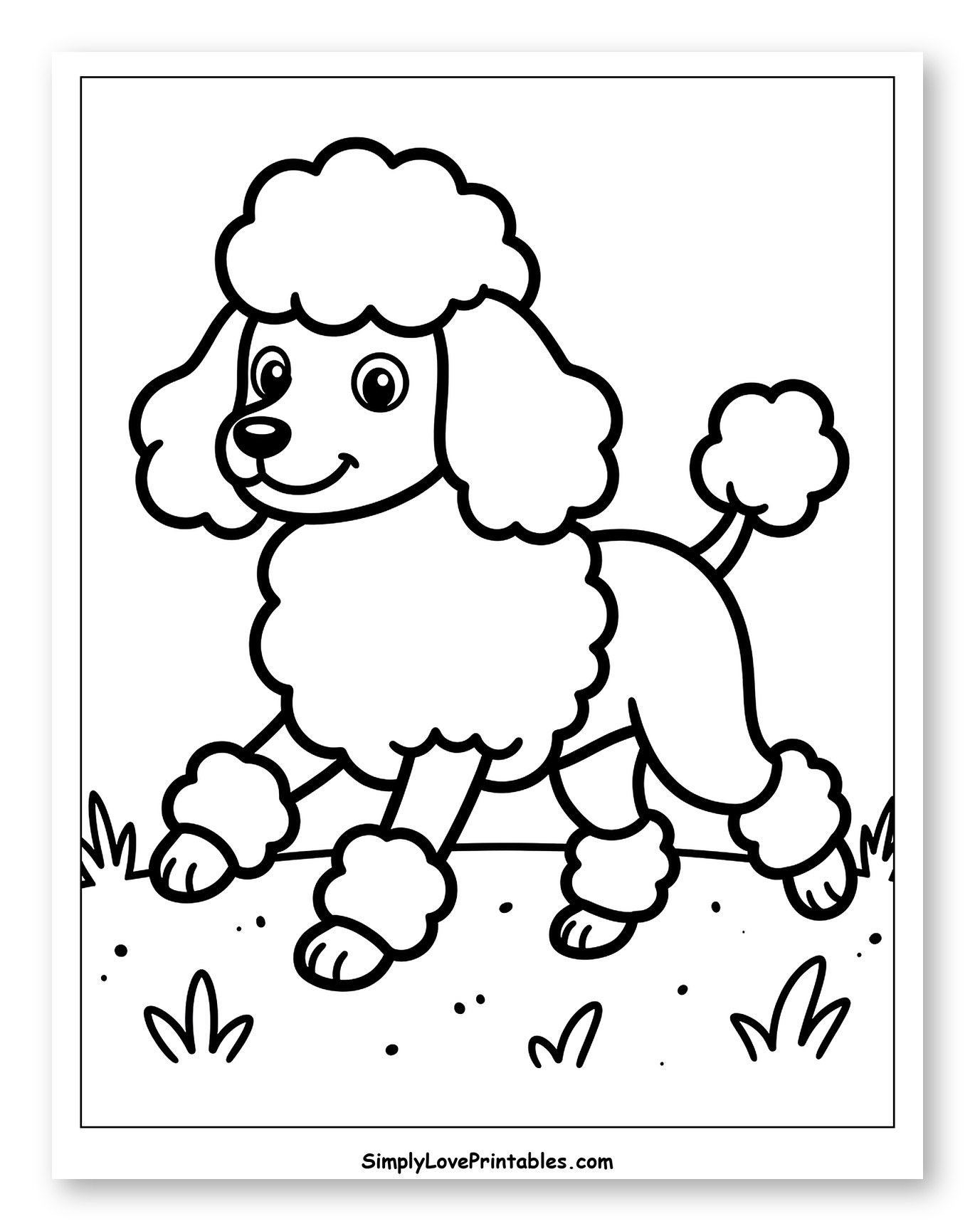 Happy Poodle Walking in Grass