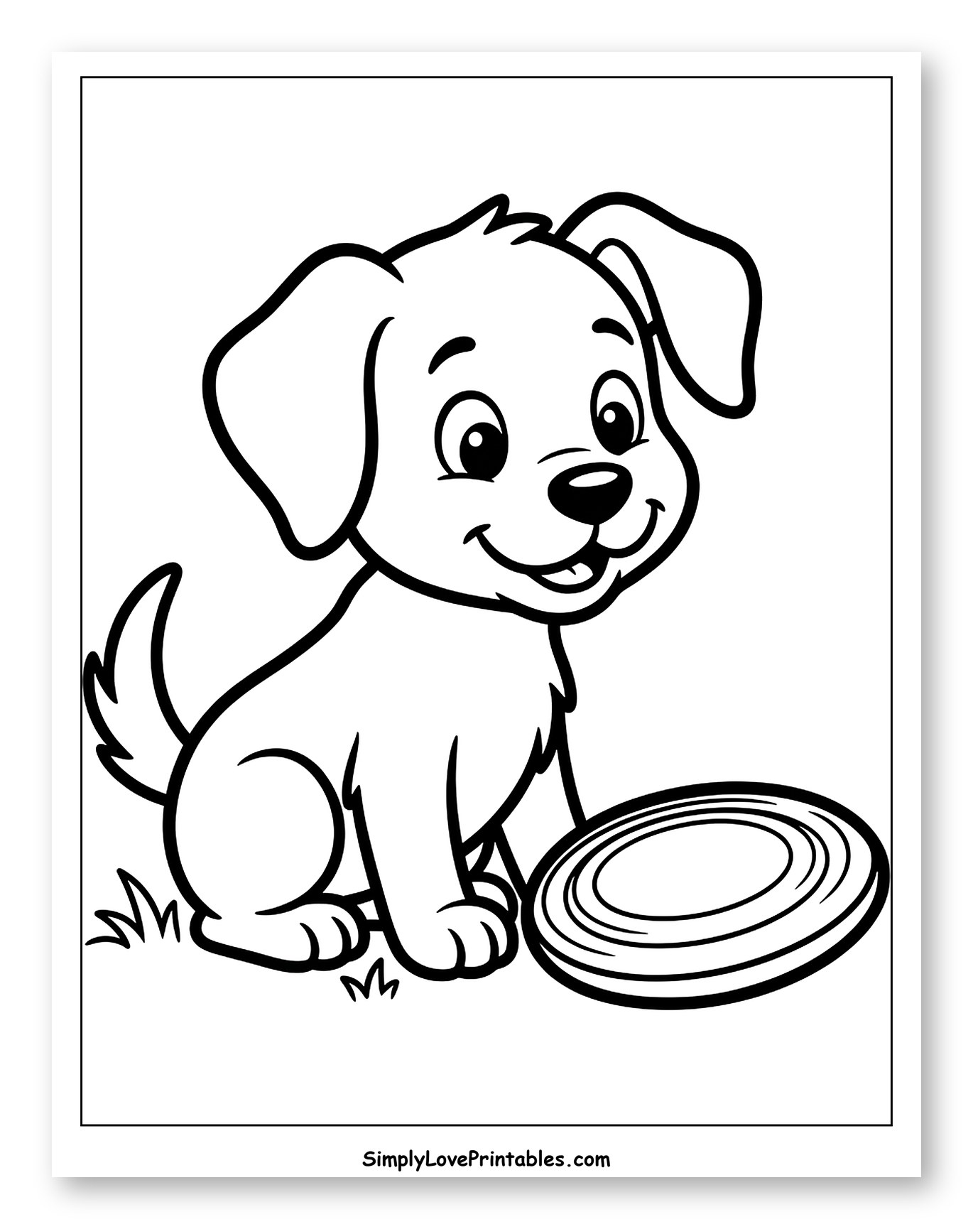 Happy Puppy Ready to Play Frisbee